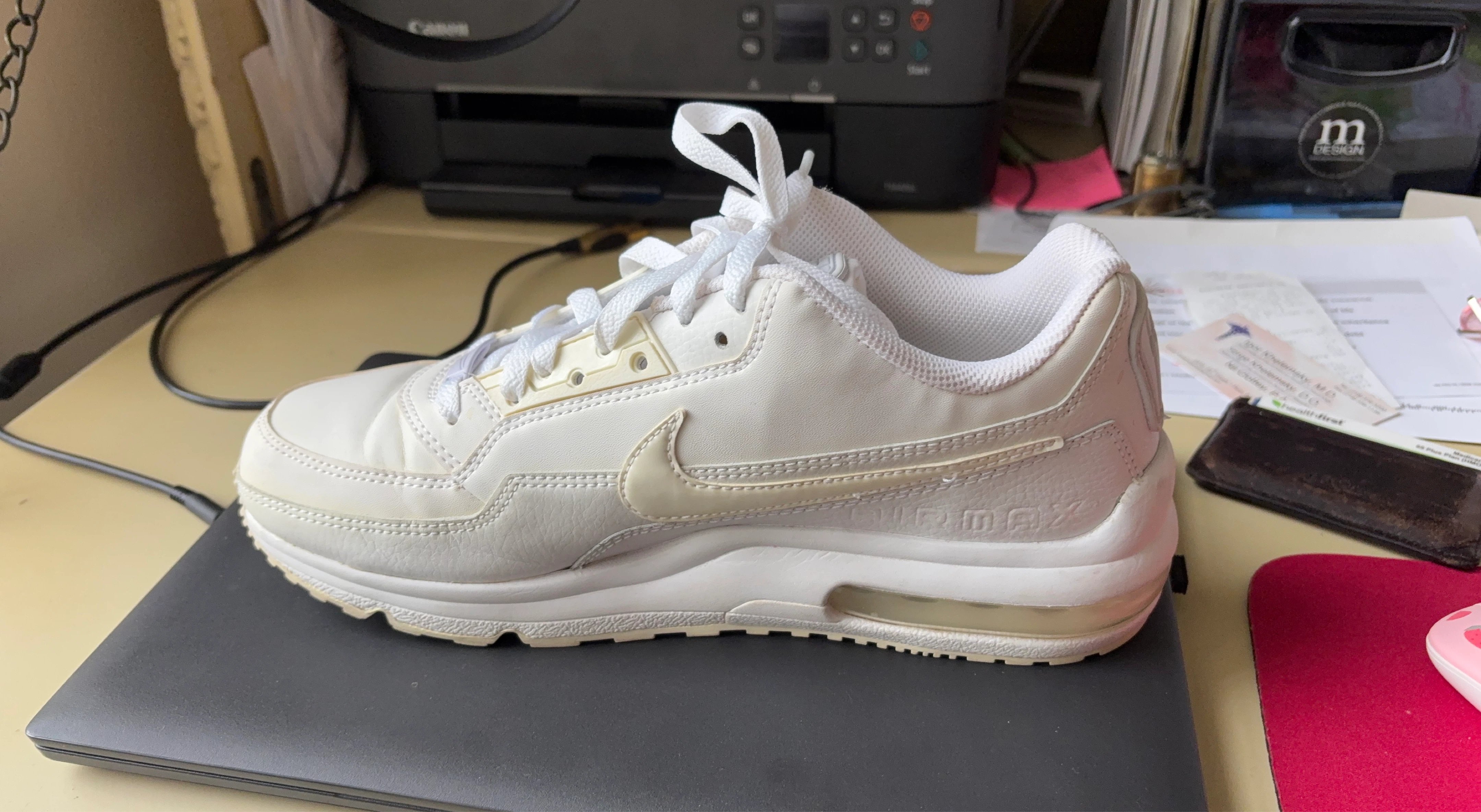 Nike Air Max Sneakers