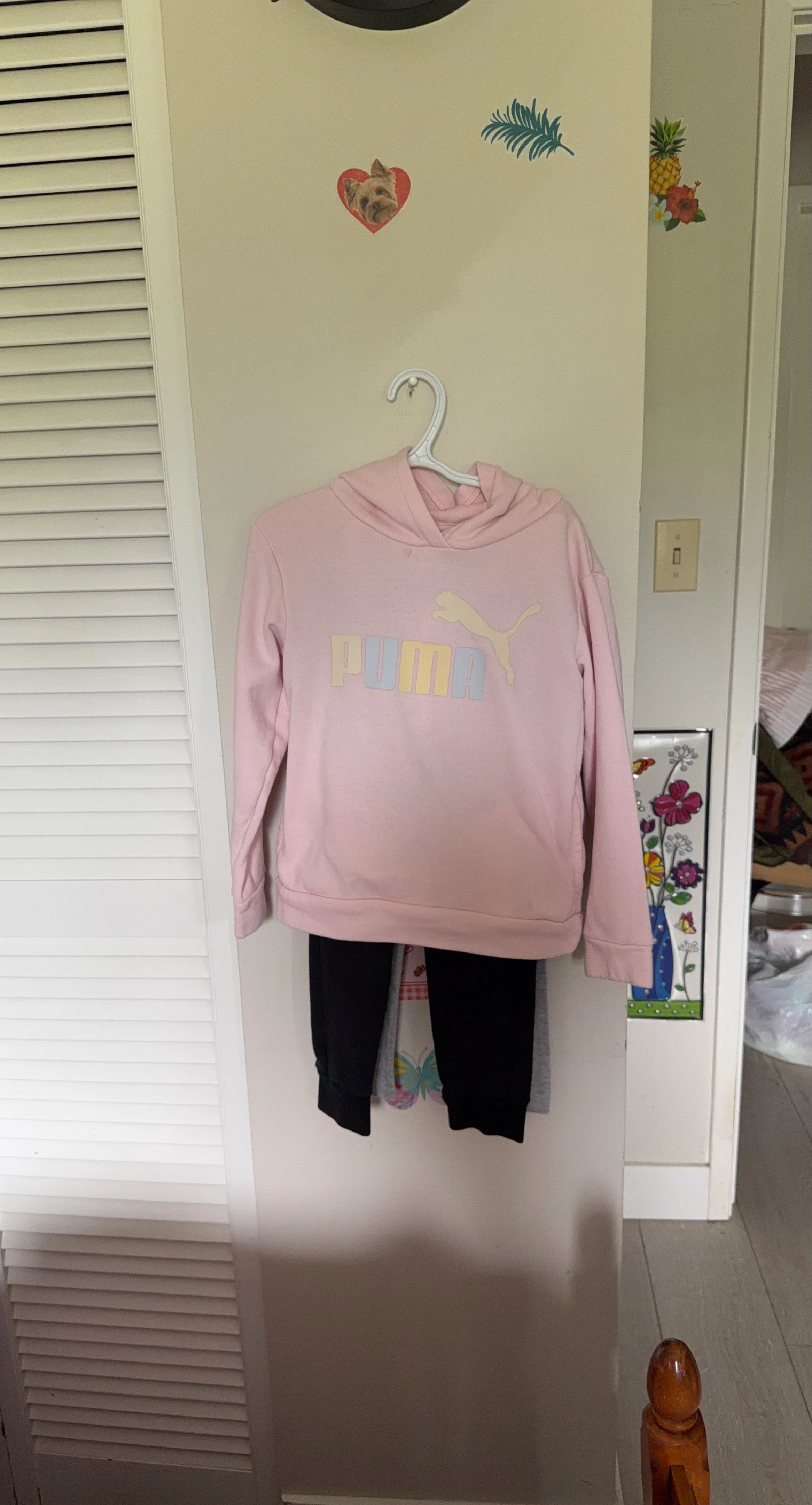 Pink Puma Hoodie with Pastel Logo Size 6