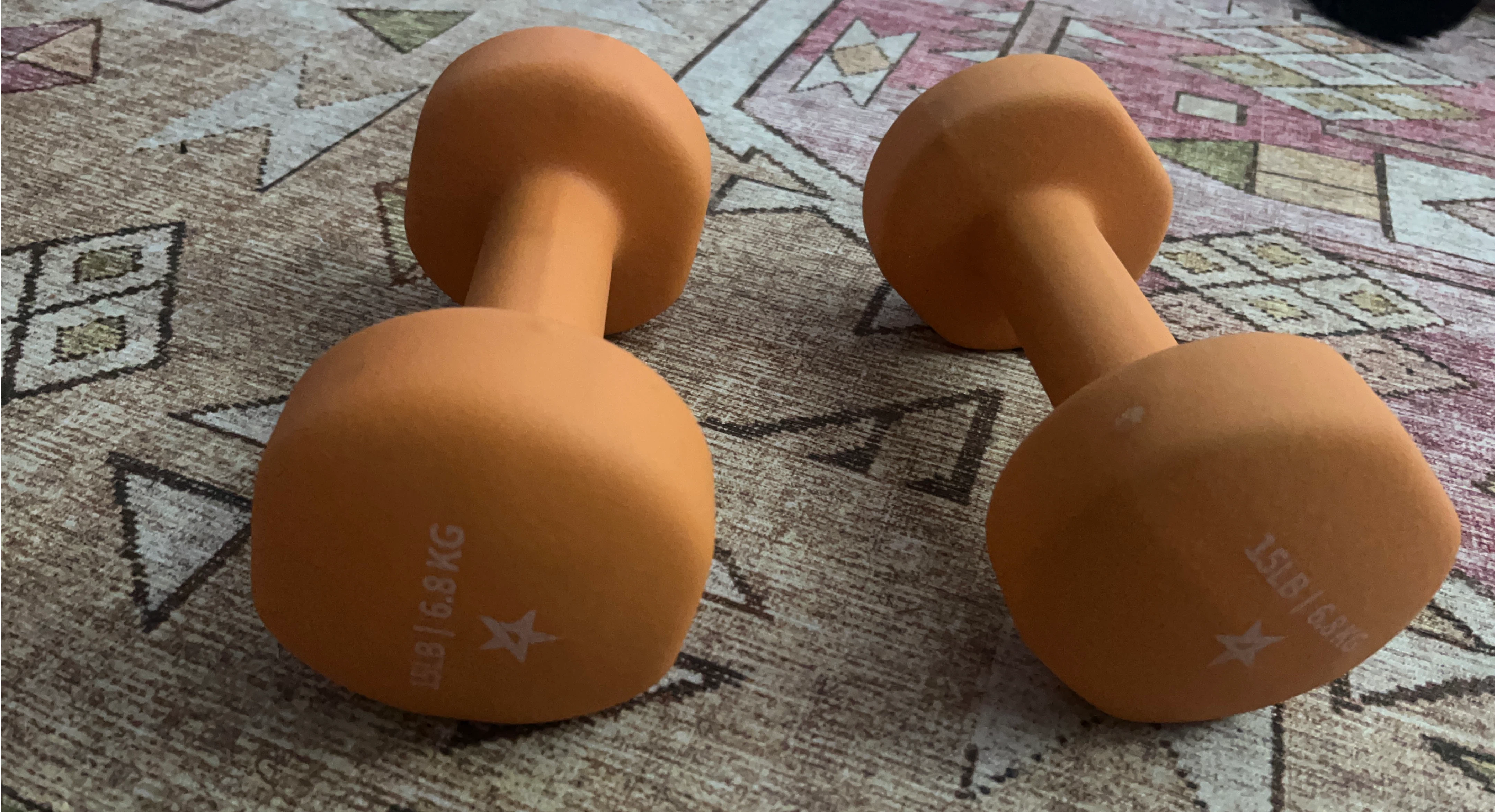 2 x 15lb/6.8kg Dumbbells