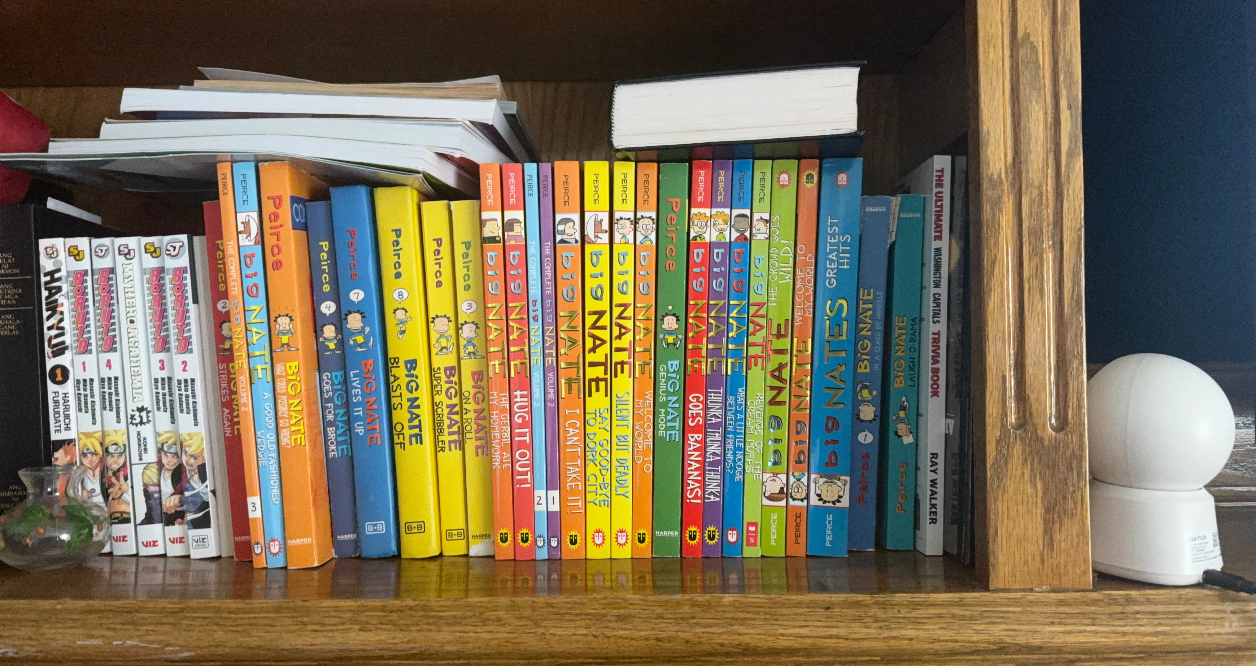 Big Nate Collection - 17 Books