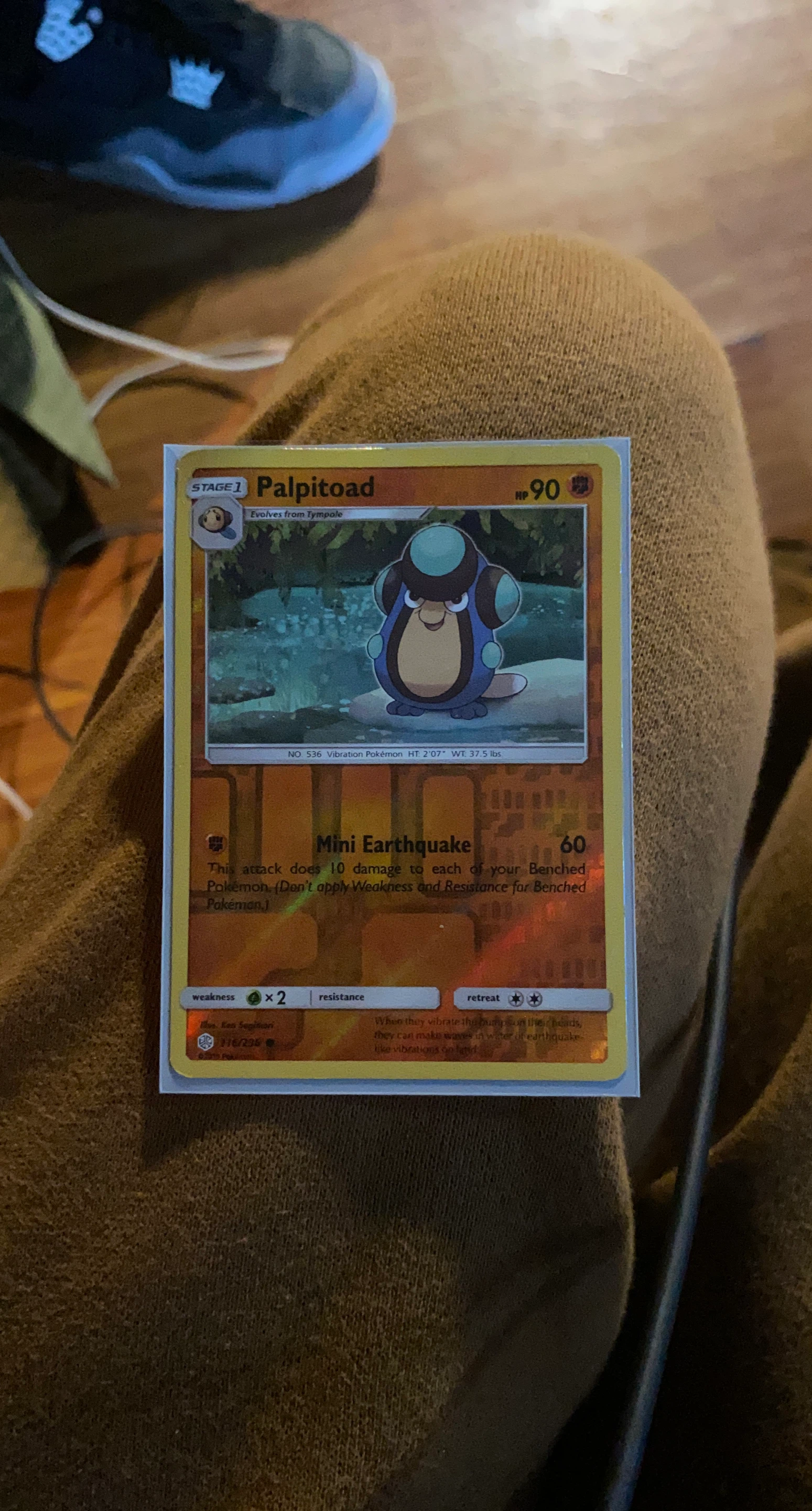 Pokemon Palpitoad Trading Card in card protector
