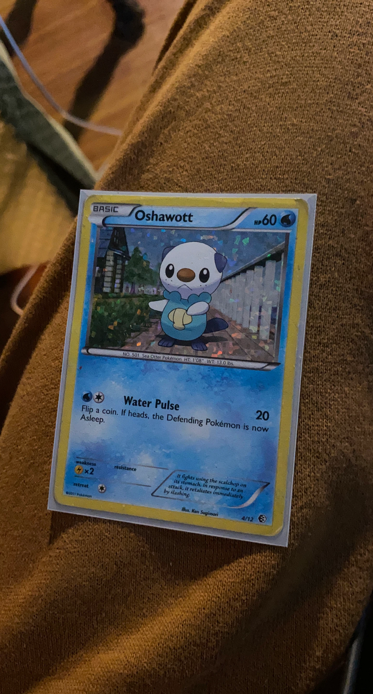 Oshawott Pokemon Card in card protector