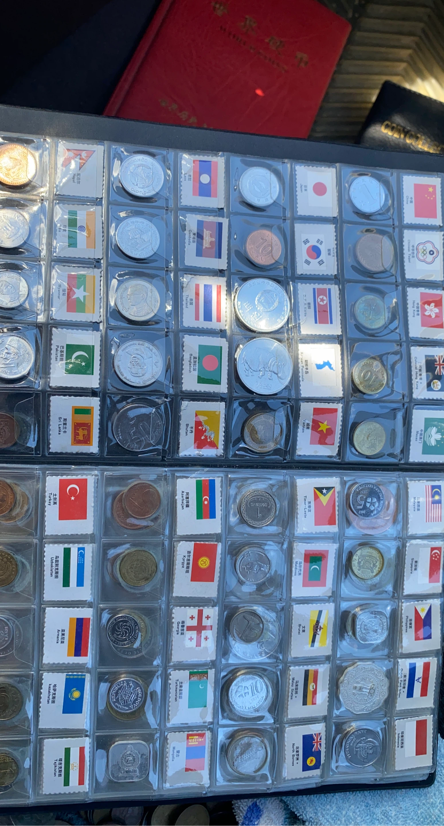 Collection of Global Coins and Flags