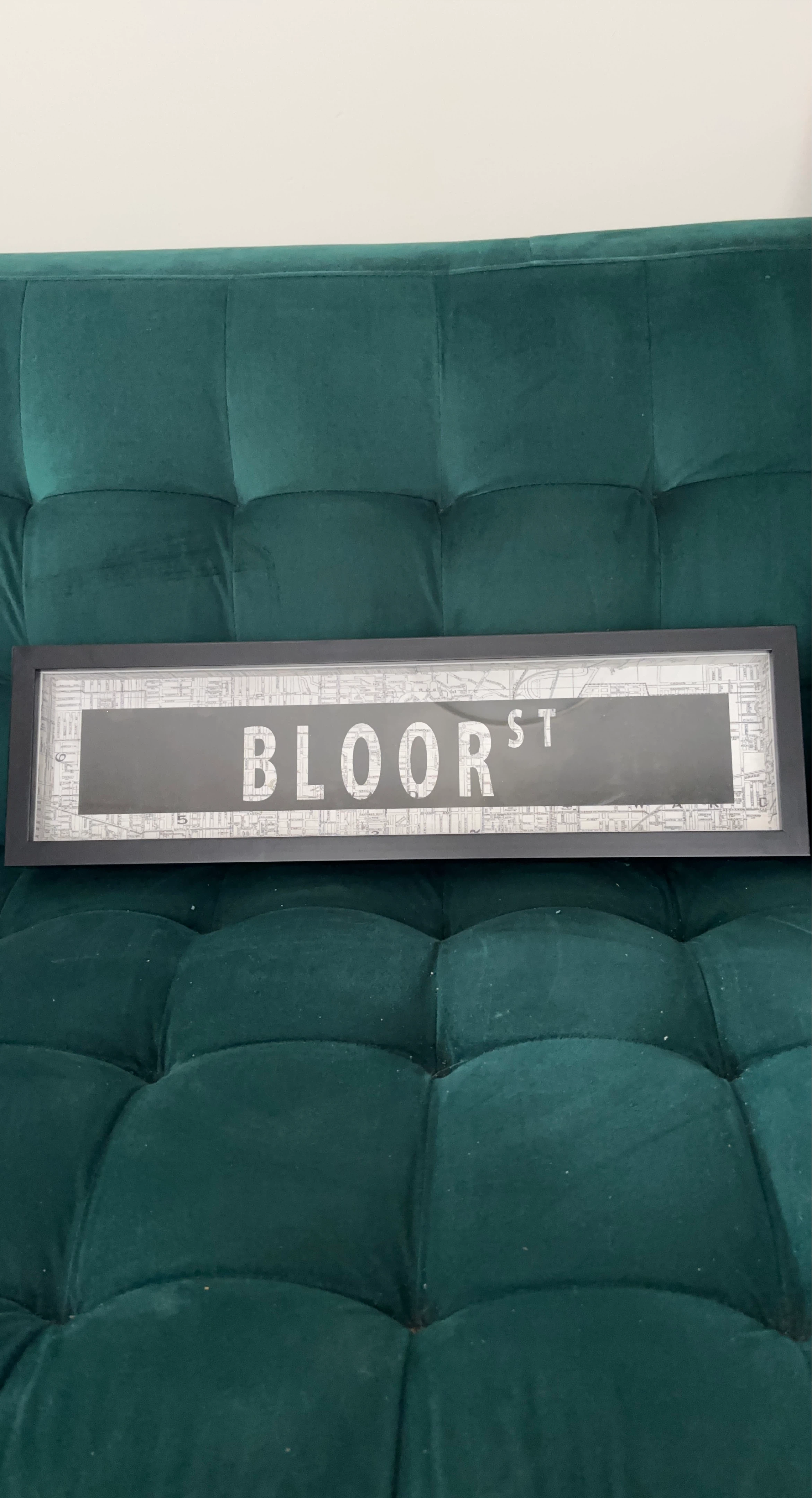 Framed Bloor St. Street Sign