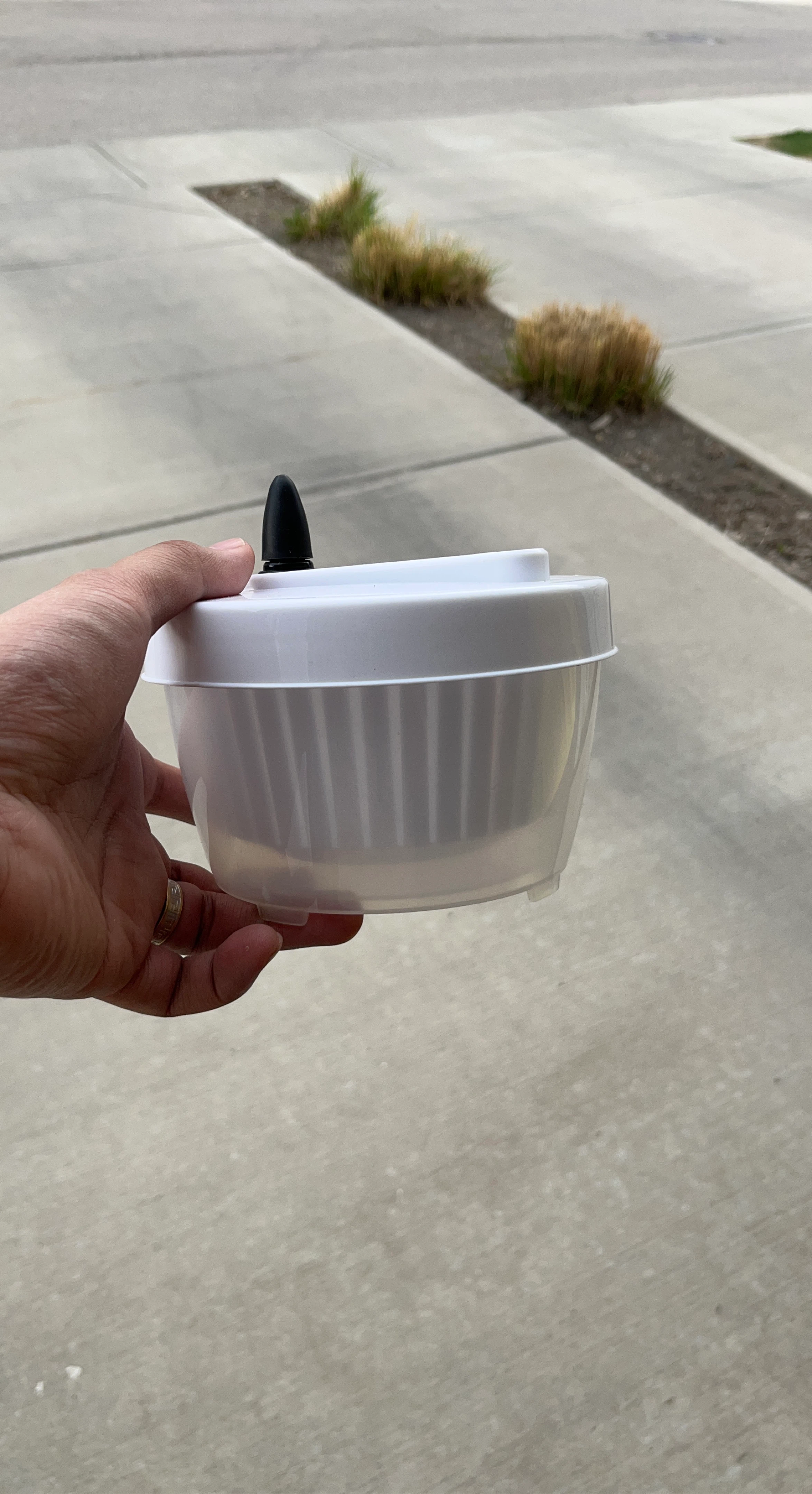 Salad Spinner