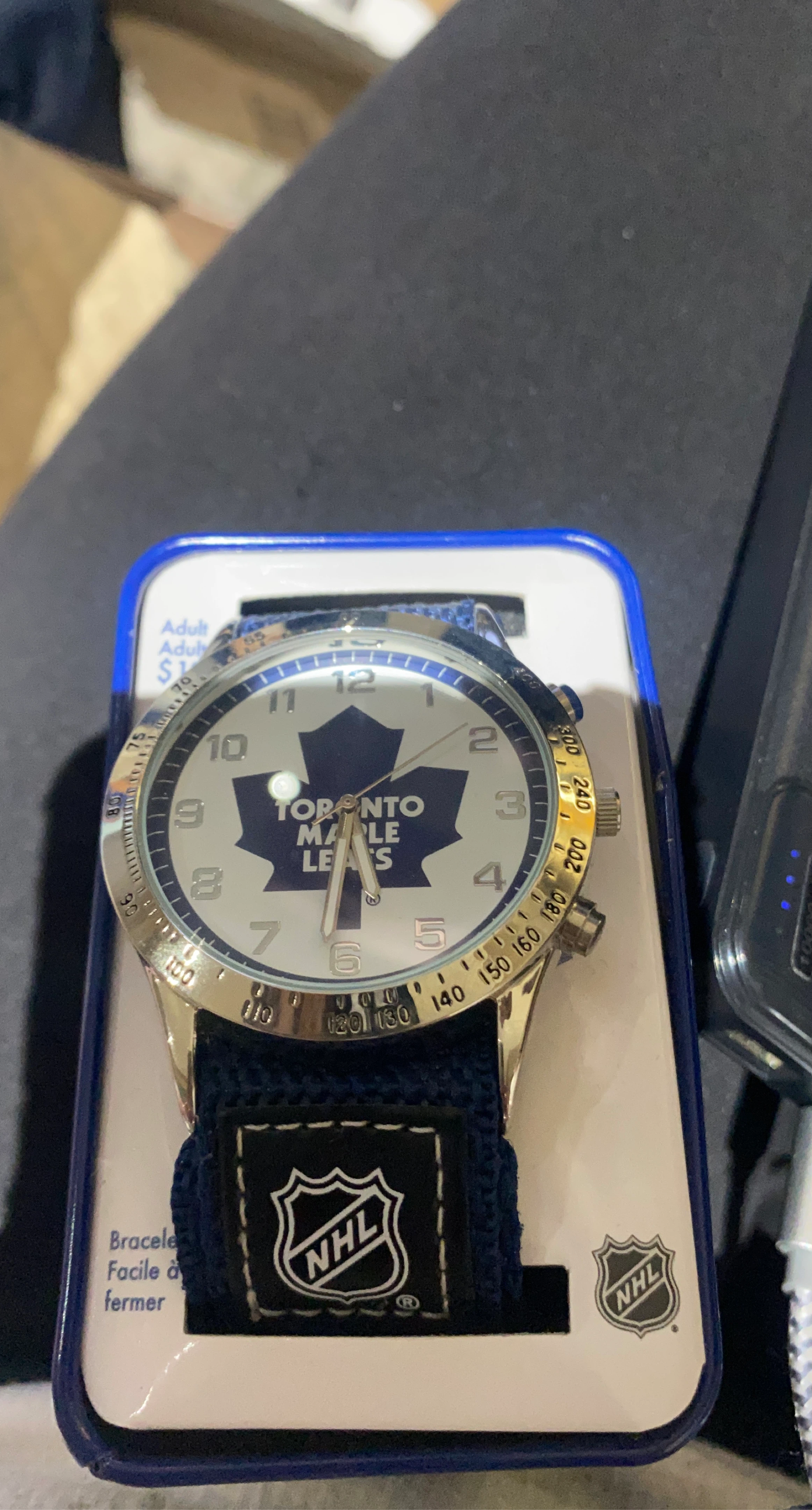 Toronto Maple Leafs NHL Watch