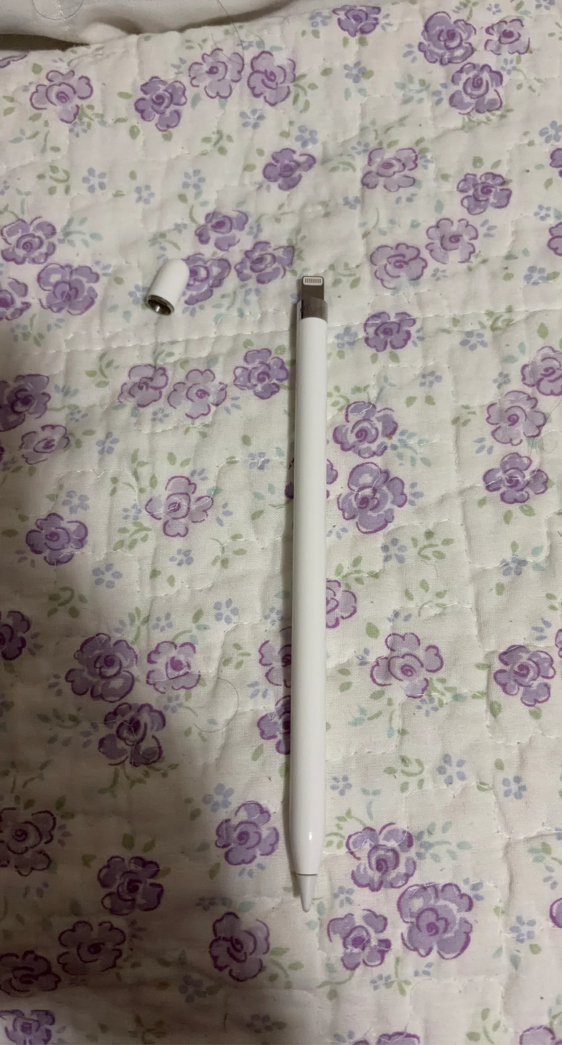 Apple Pencil (1st generation)