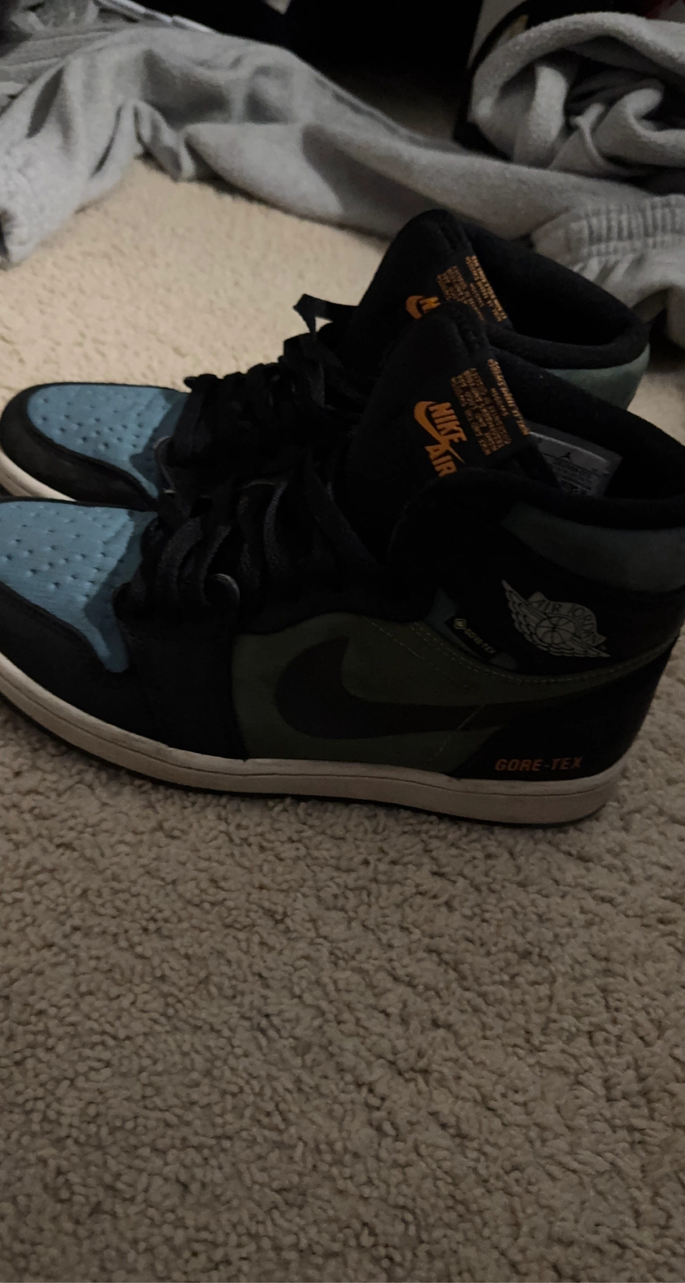 Nike Air Jordan 1 High GORE-TEX Sneakers