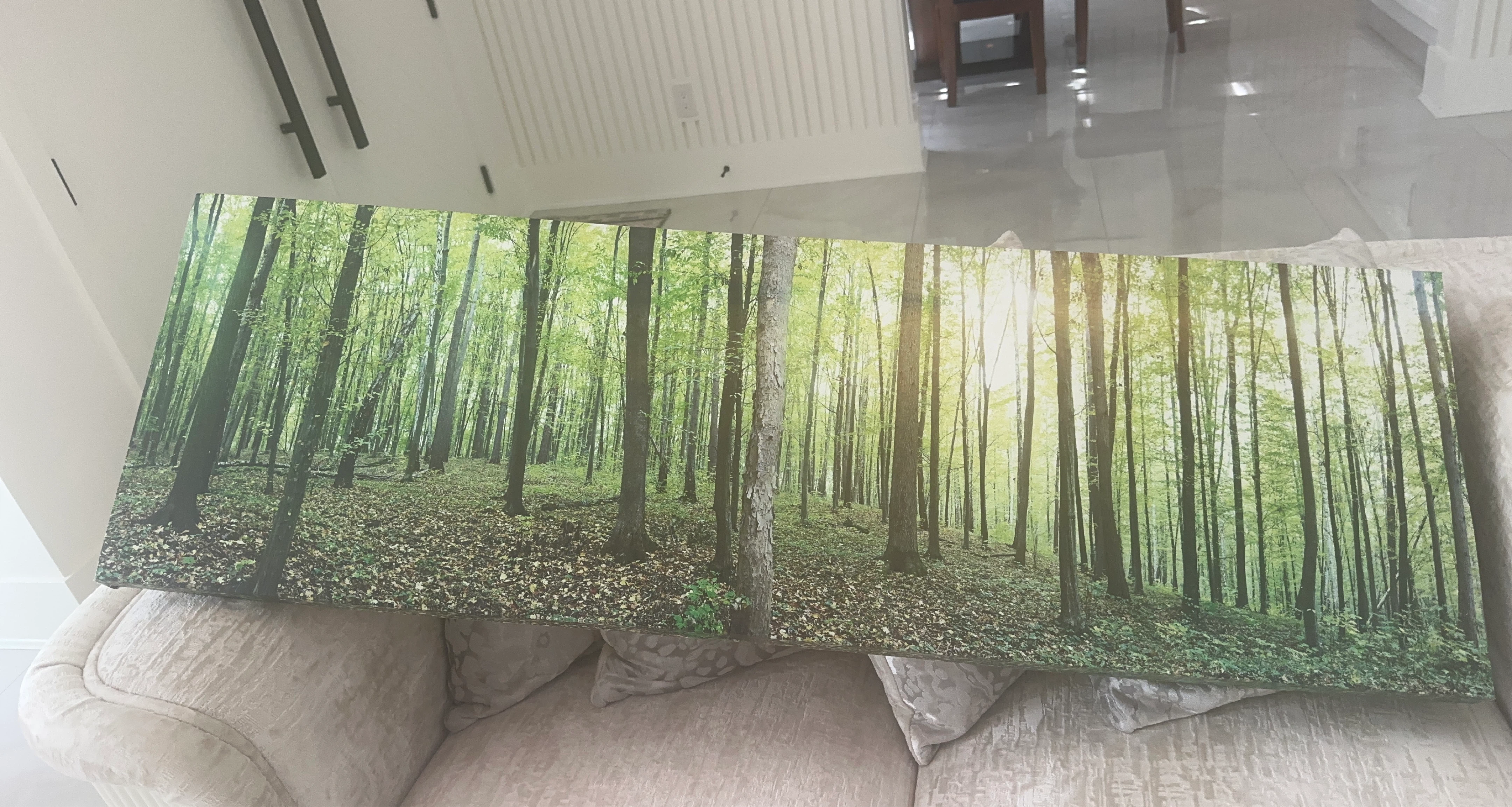 Canvas Wall Art - Forest Scene