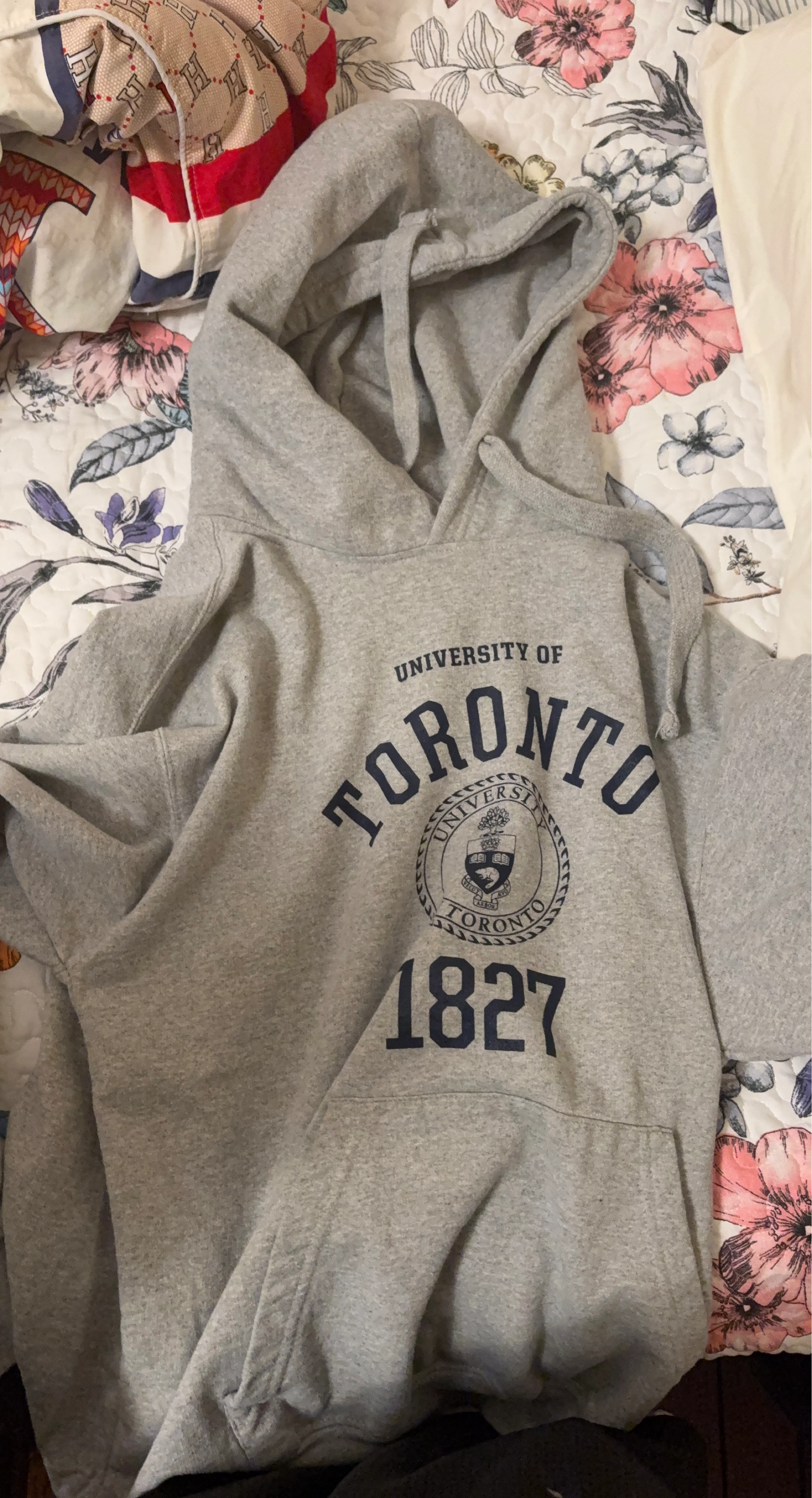 University of Toronto Grey Hoodie 1827