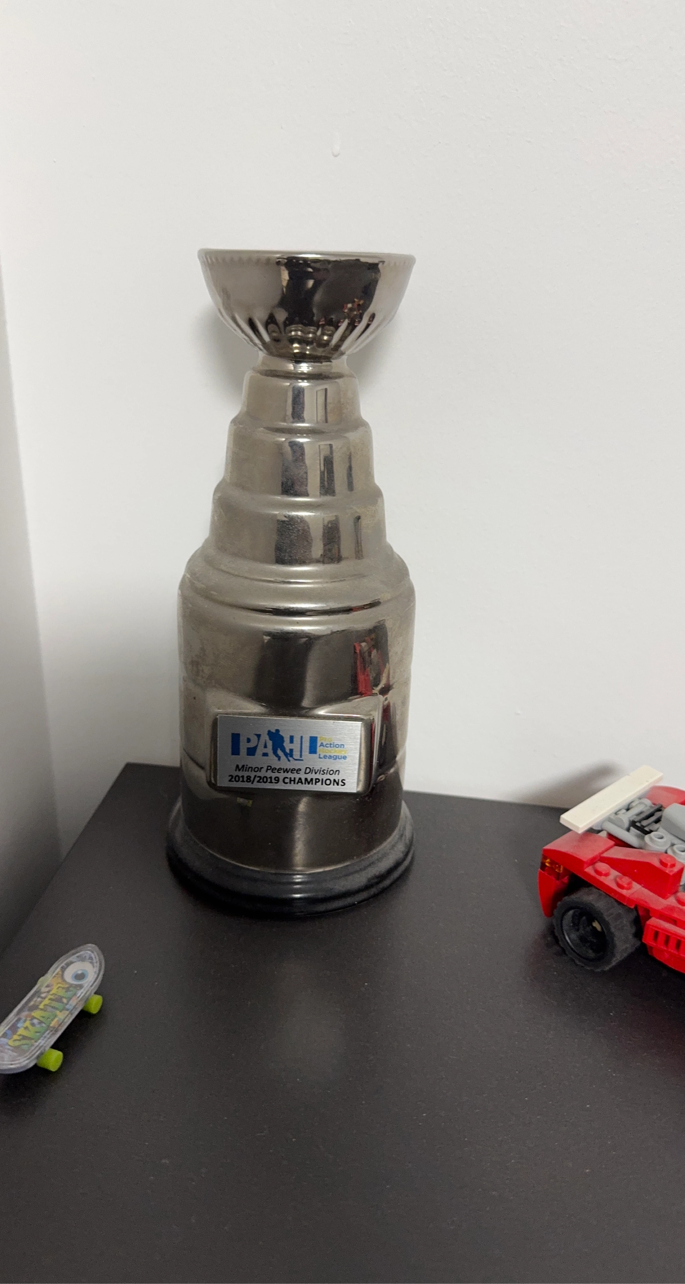 PAHL Minor Pee Wee Division 2018/2019 Champions Trophy