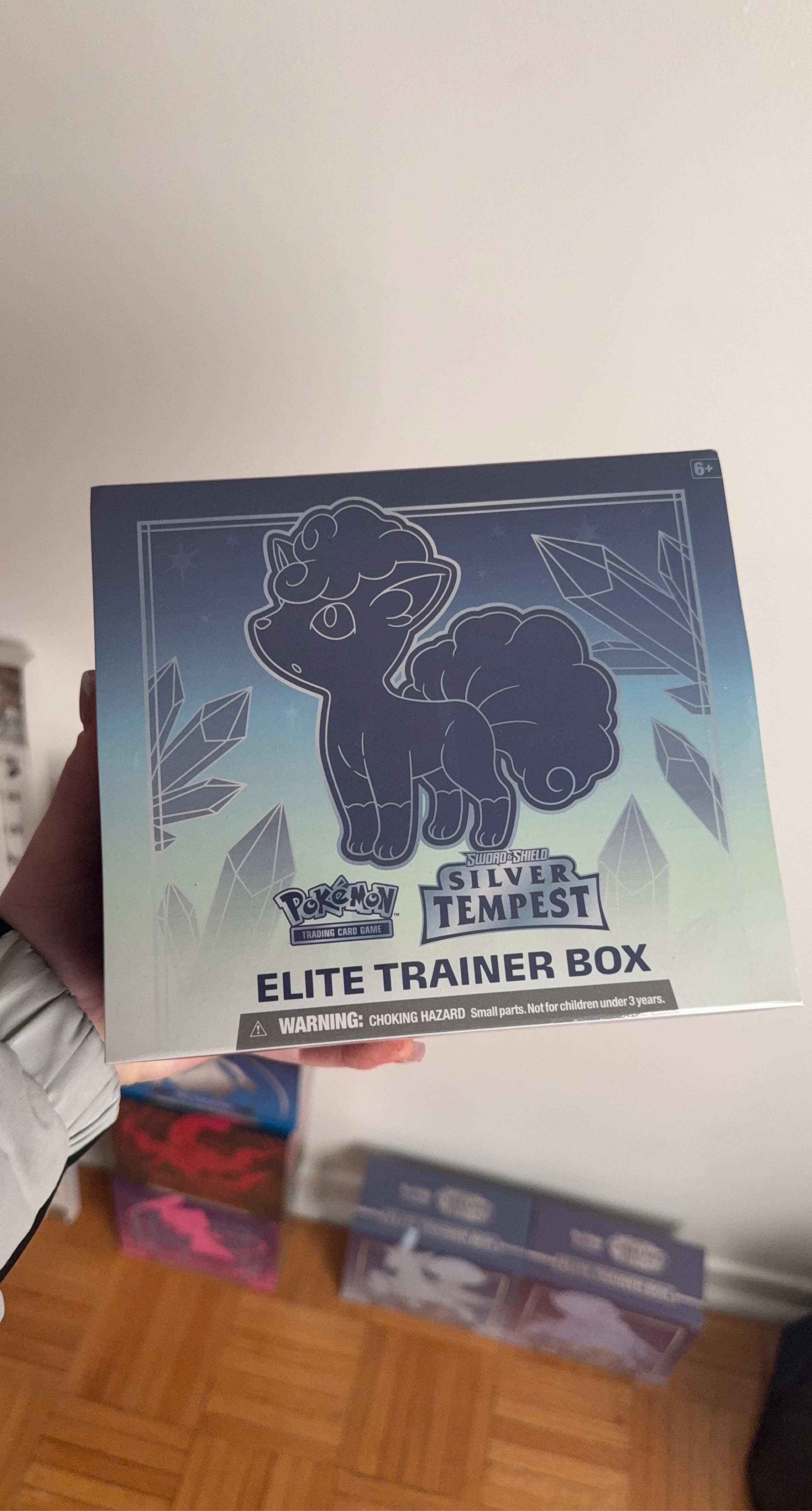 Pokemon Silver Tempest ETB