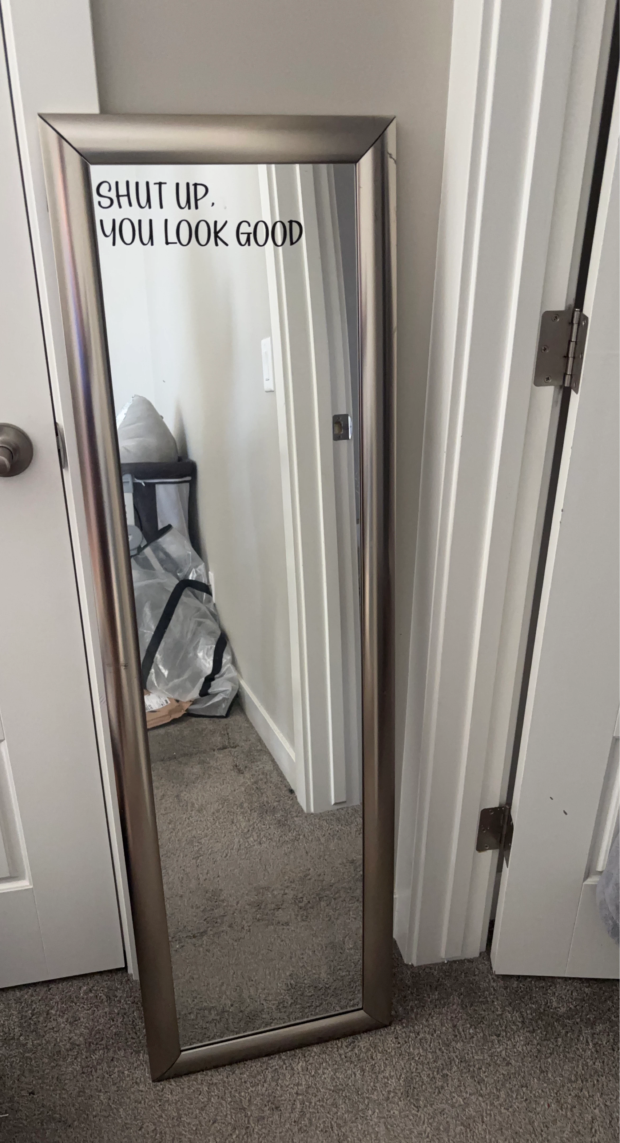 Full Length Mirror with Decal