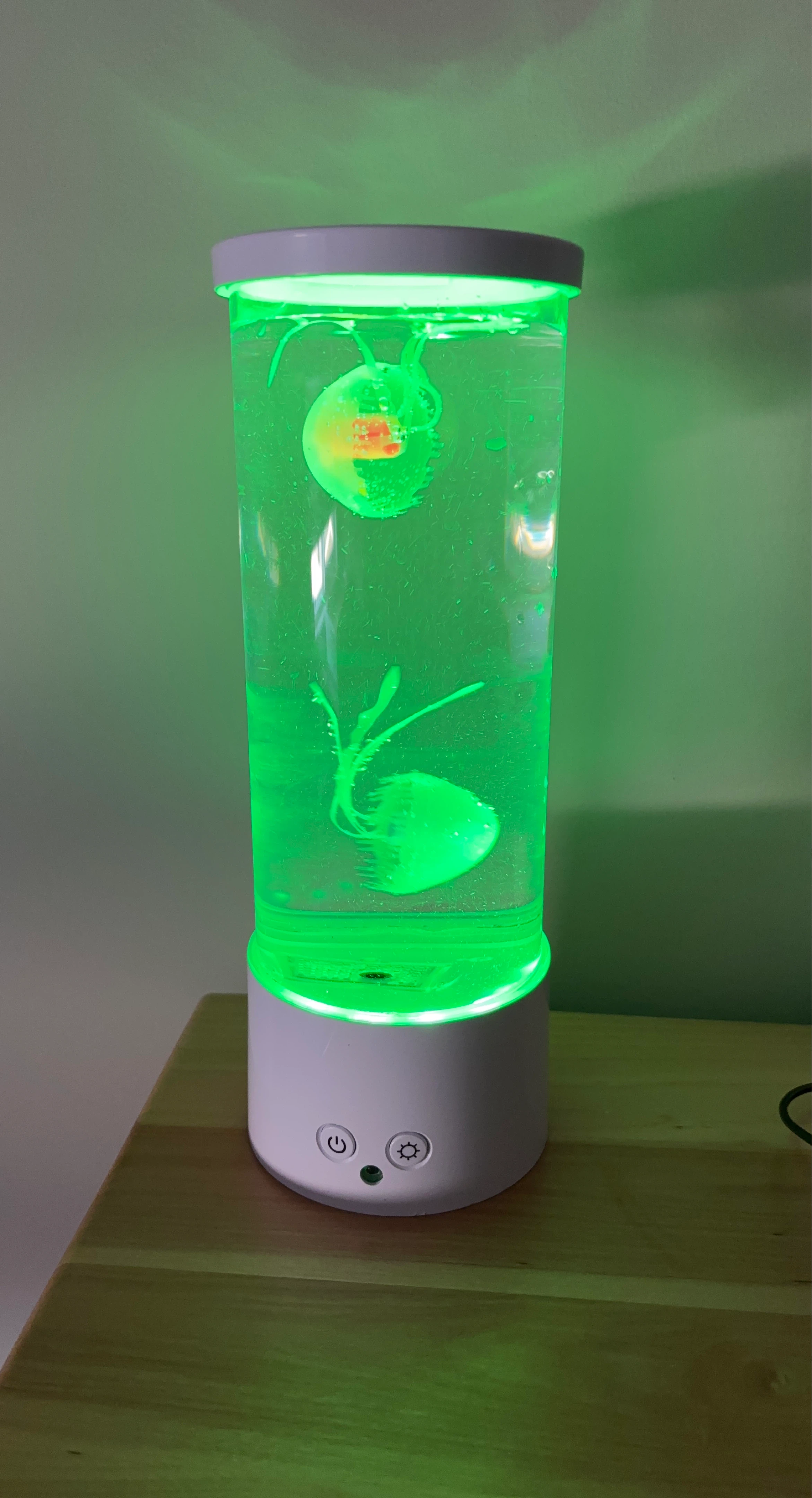 Jellyfish Lava Lamp