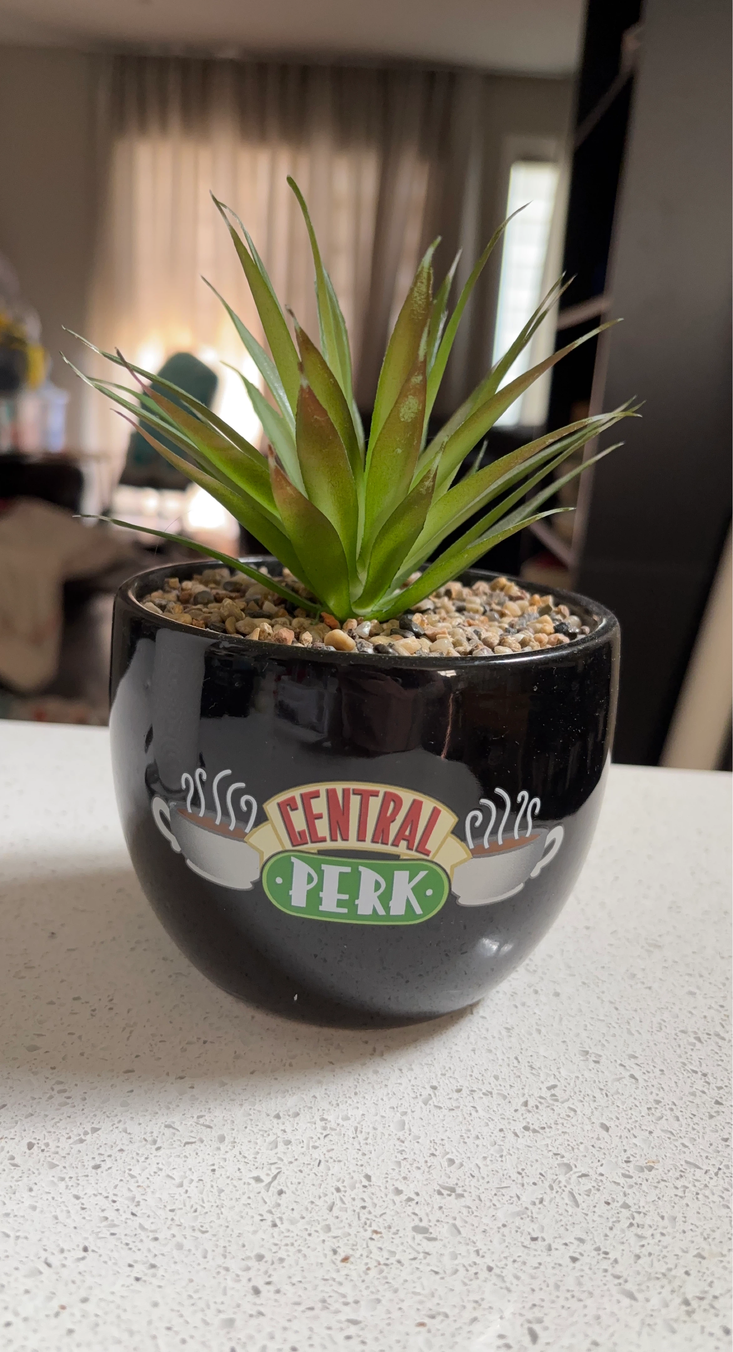 Central Perk Faux Plant