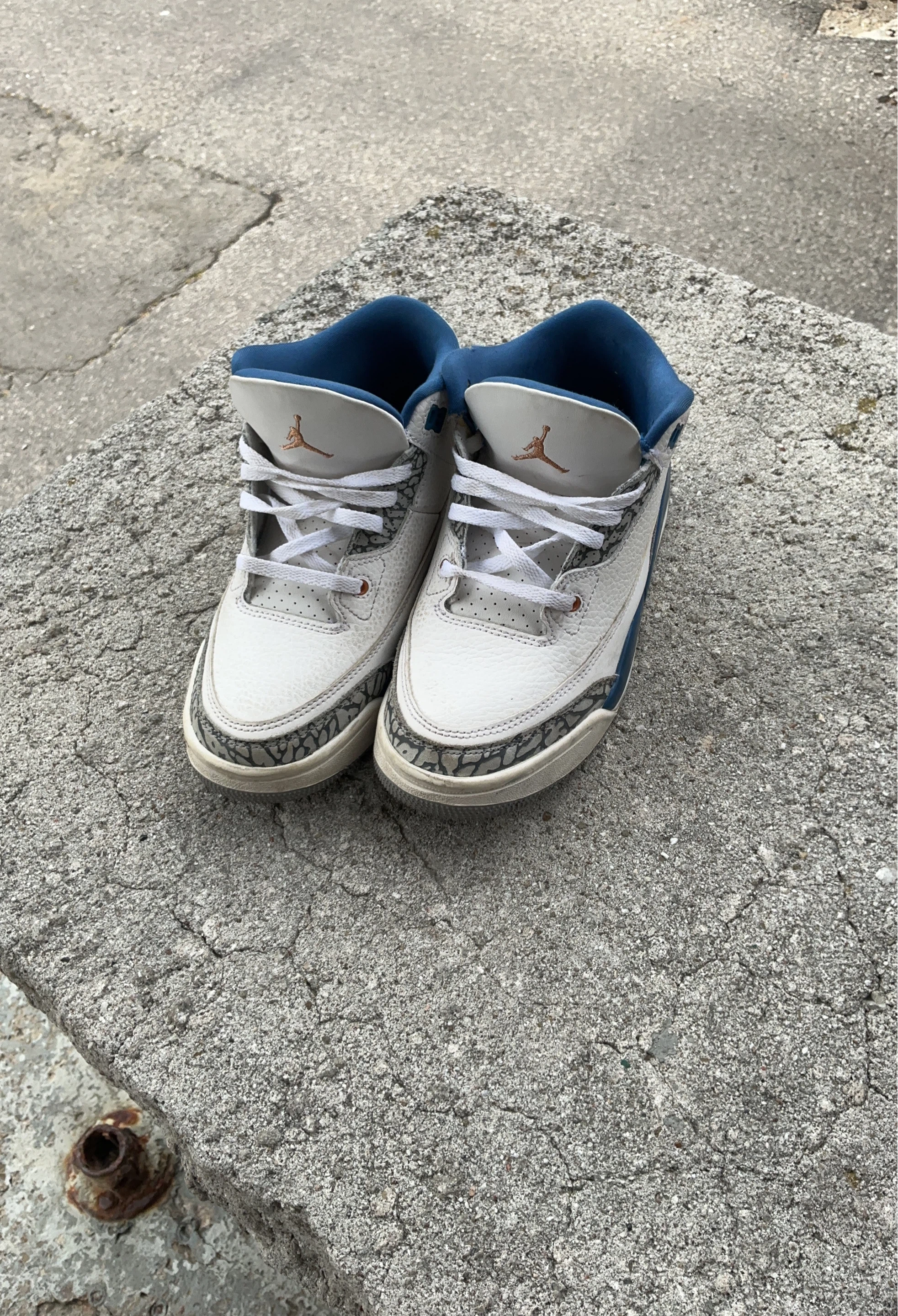 Air Jordan 3 Retro White Blue Elephant Print Kids Shoes