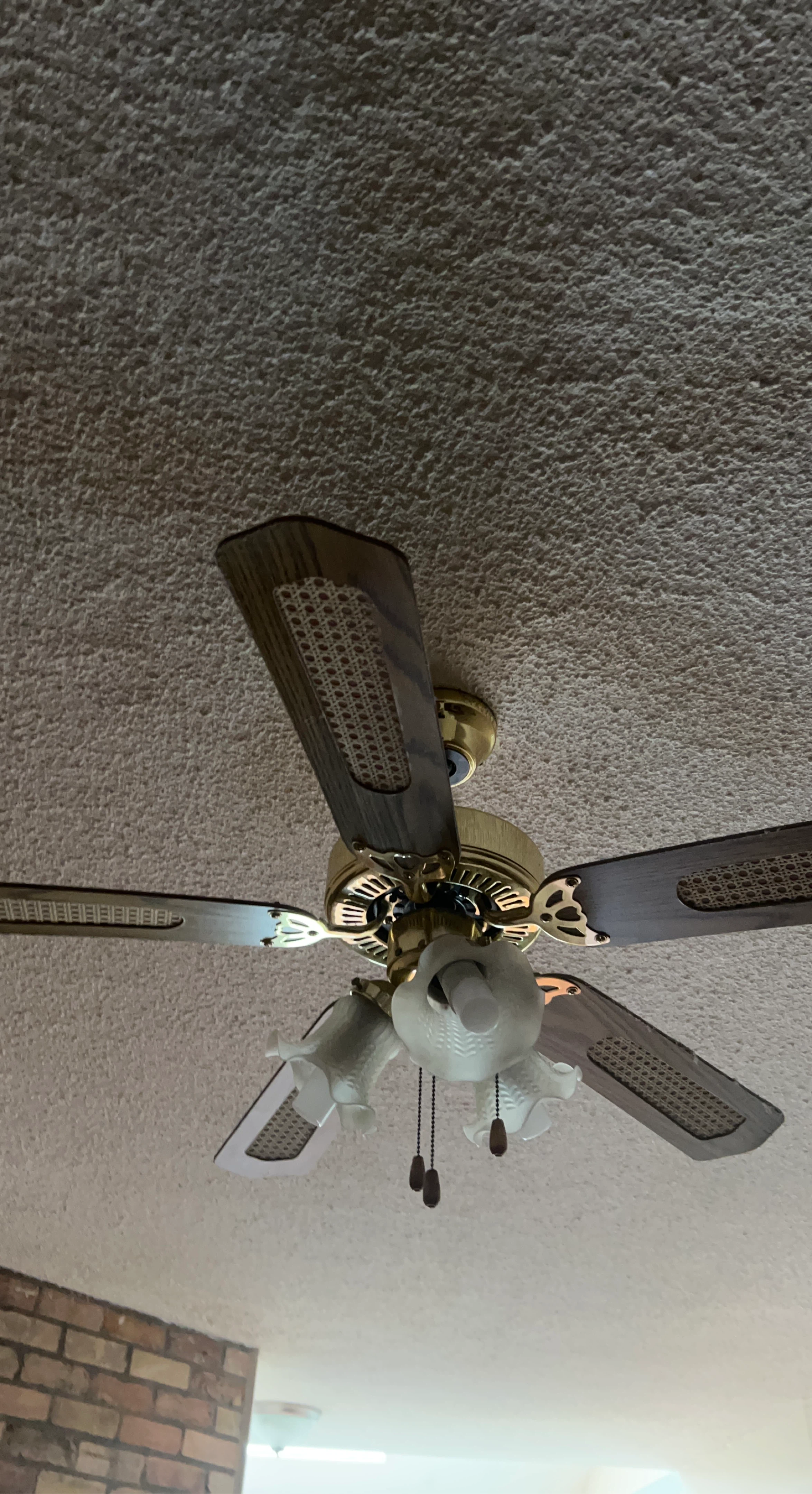Ceiling Fan with Decorative Blades and Lights
