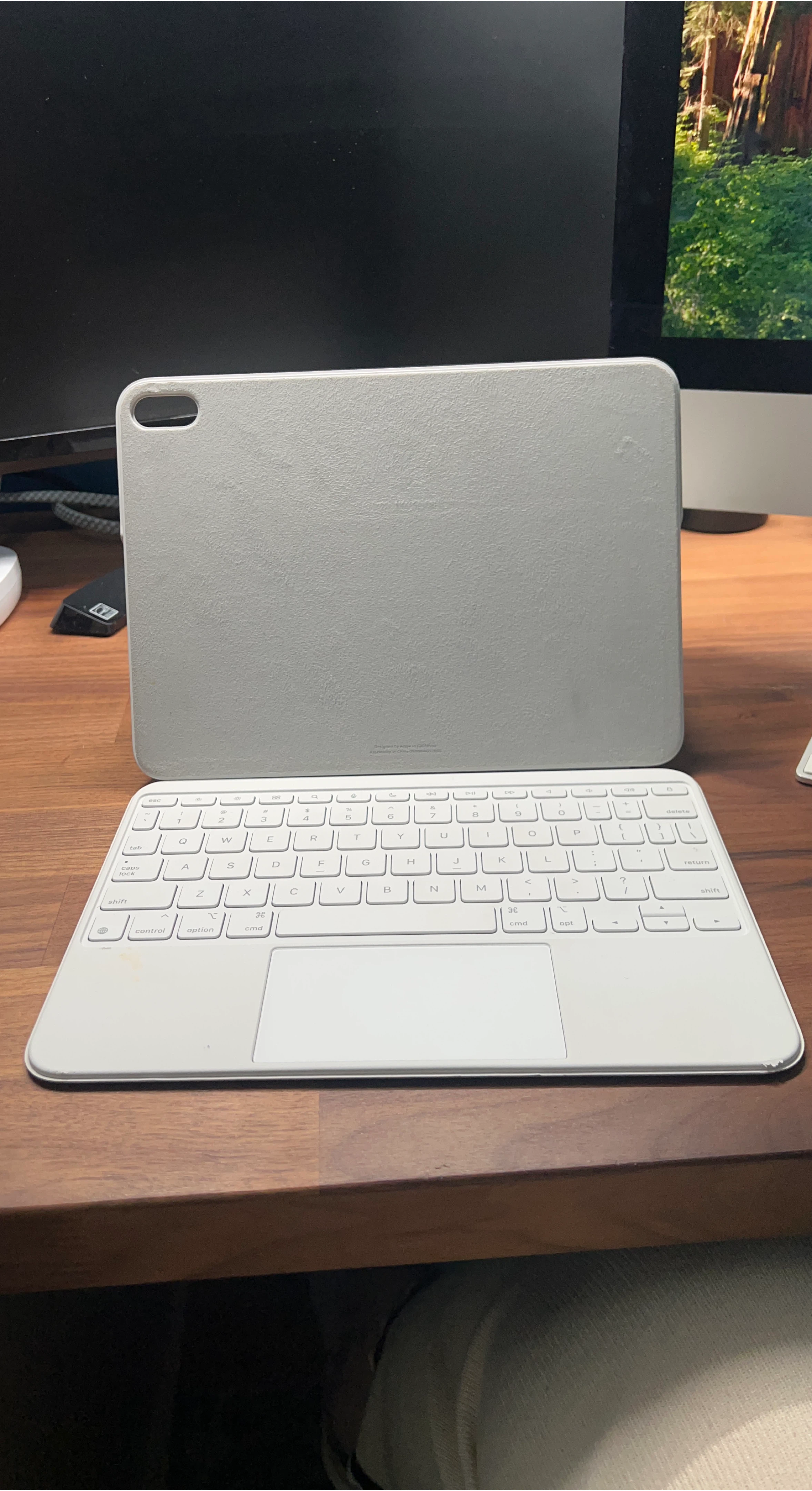 Apple Smart Keyboard