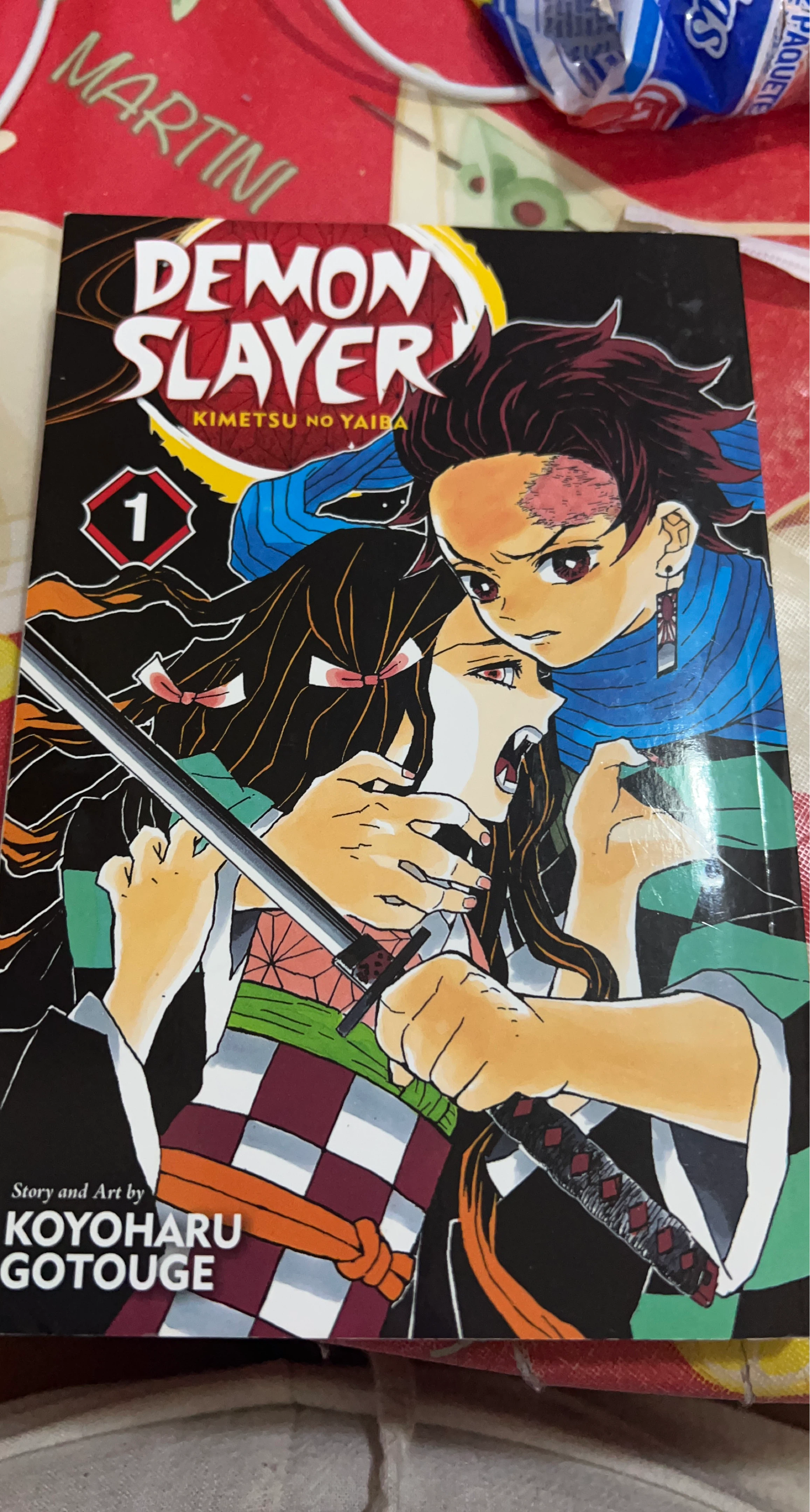 Demon Slayer: Kimetsu no Yaiba, Vol. 1