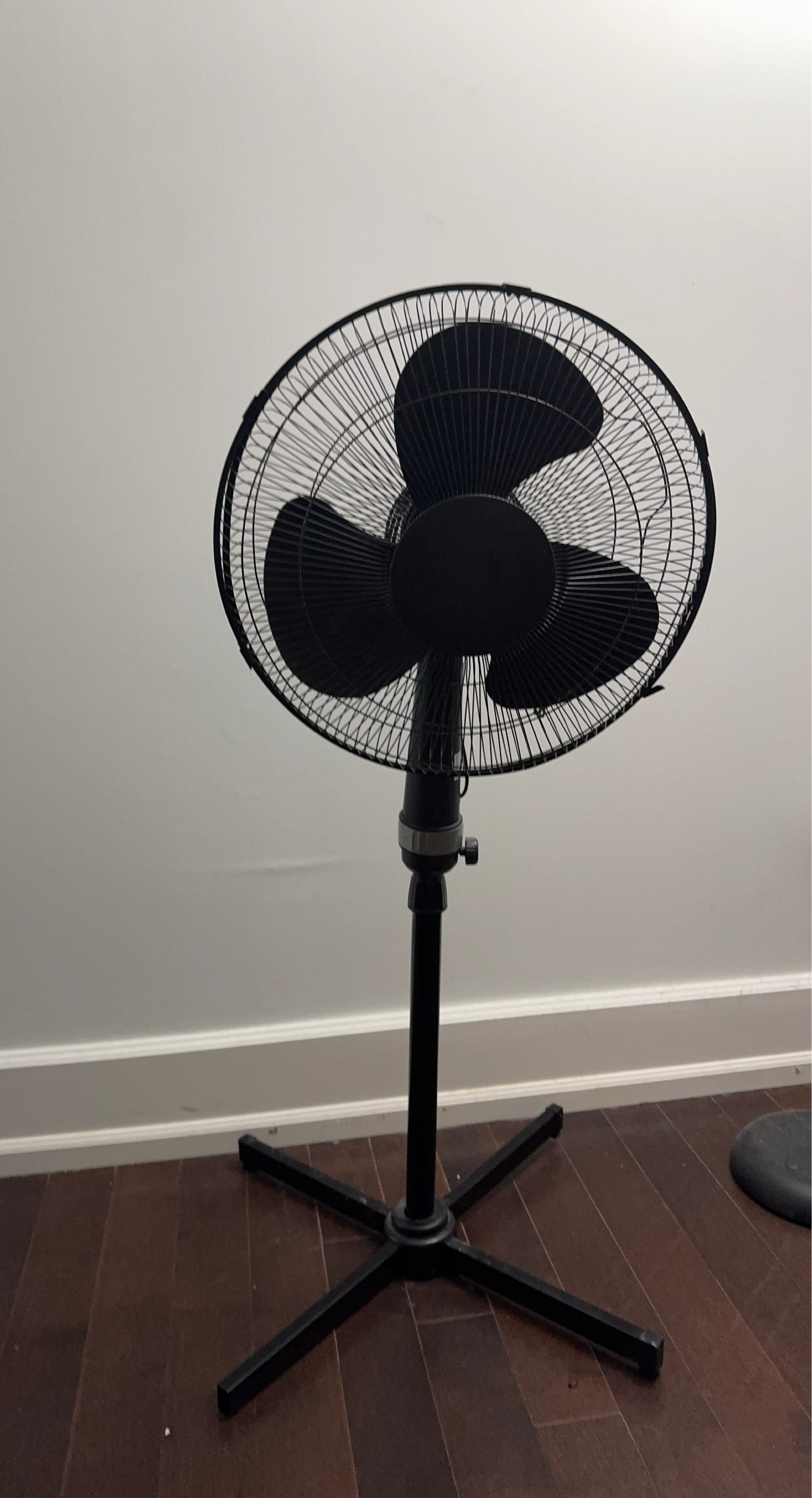 Black Oscillating Pedestal Fan