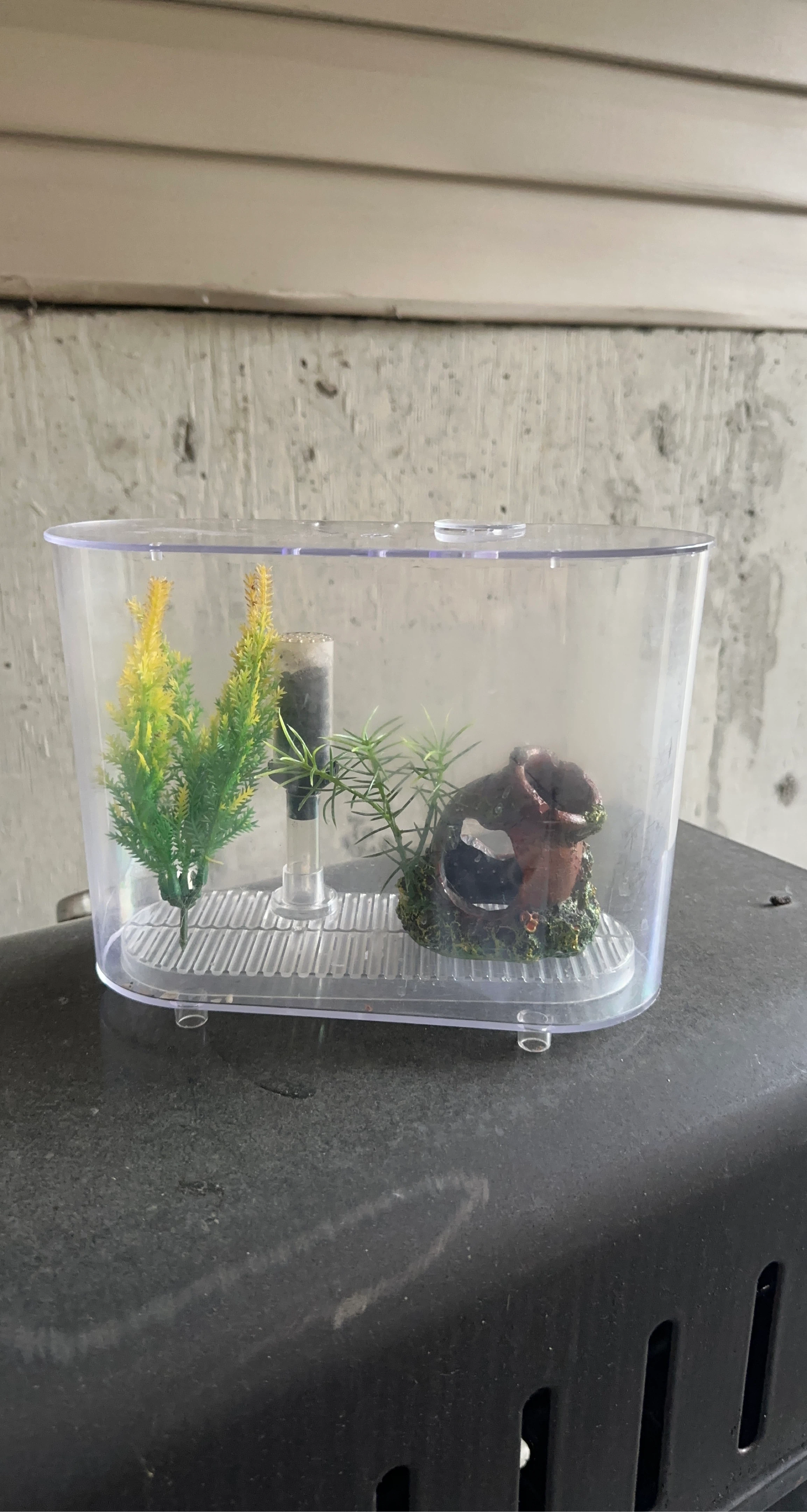 Clear Plastic Betta Fish Tank with Decorations