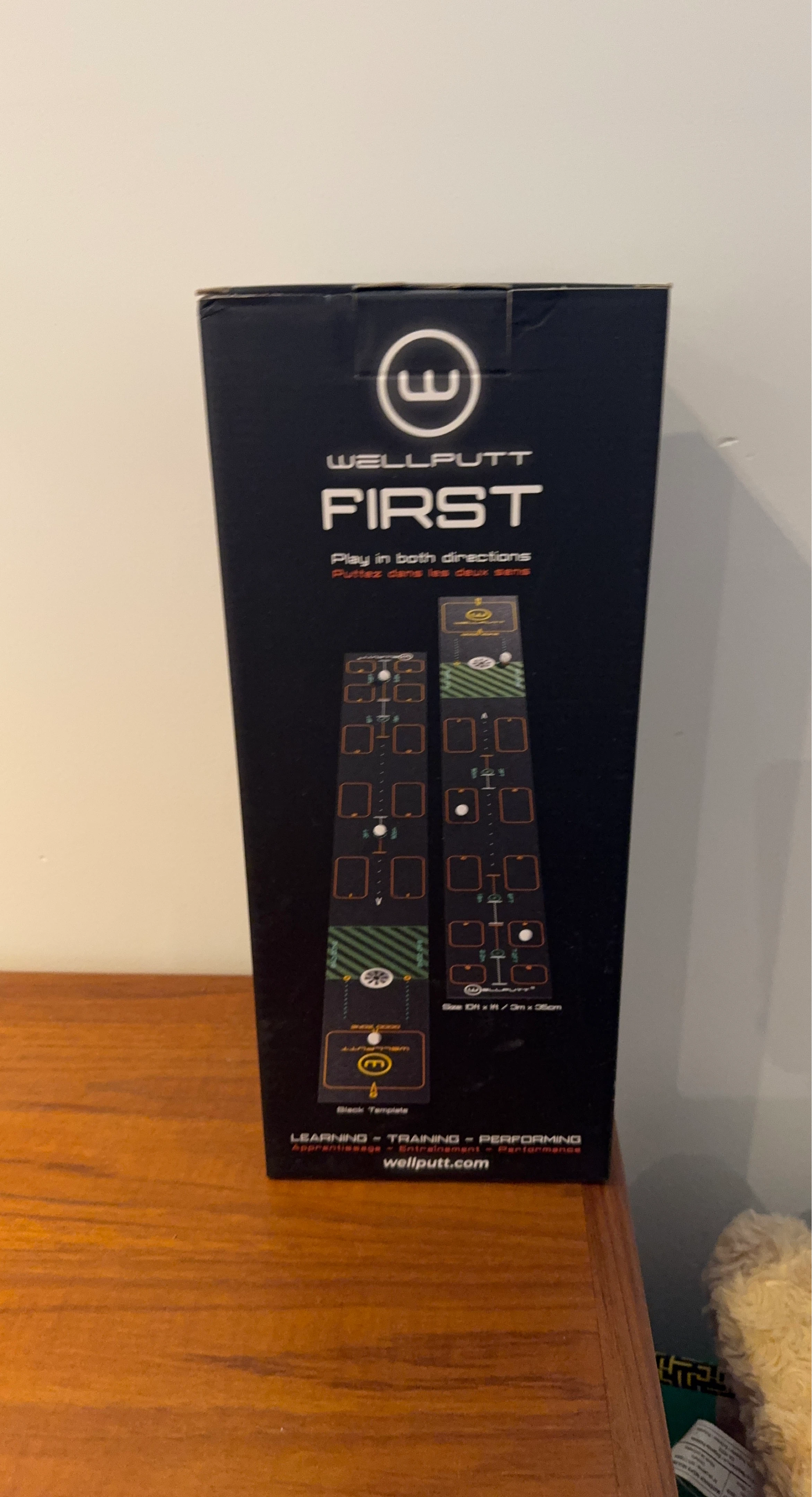 Wellputt First Golf Putting Training Mat