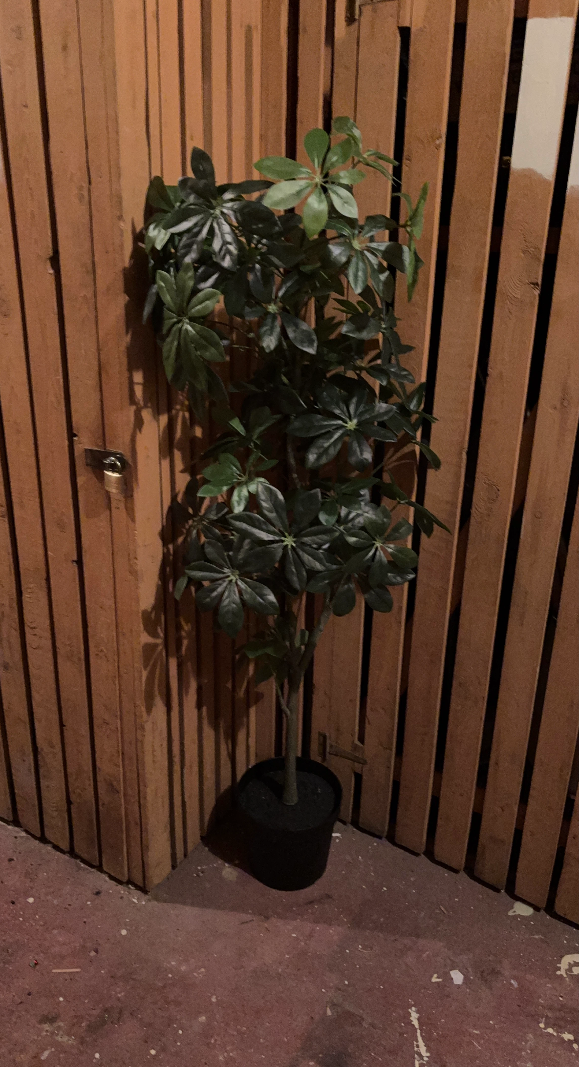 Artificial Umbrella Tree Plant - photo 2