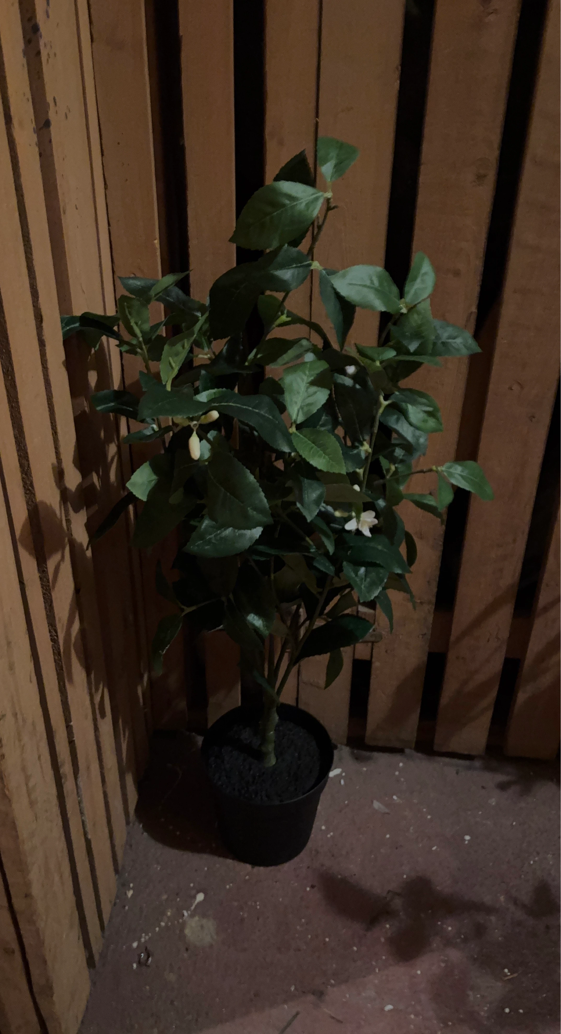 Artificial Lemon Tree Plant - photo 2