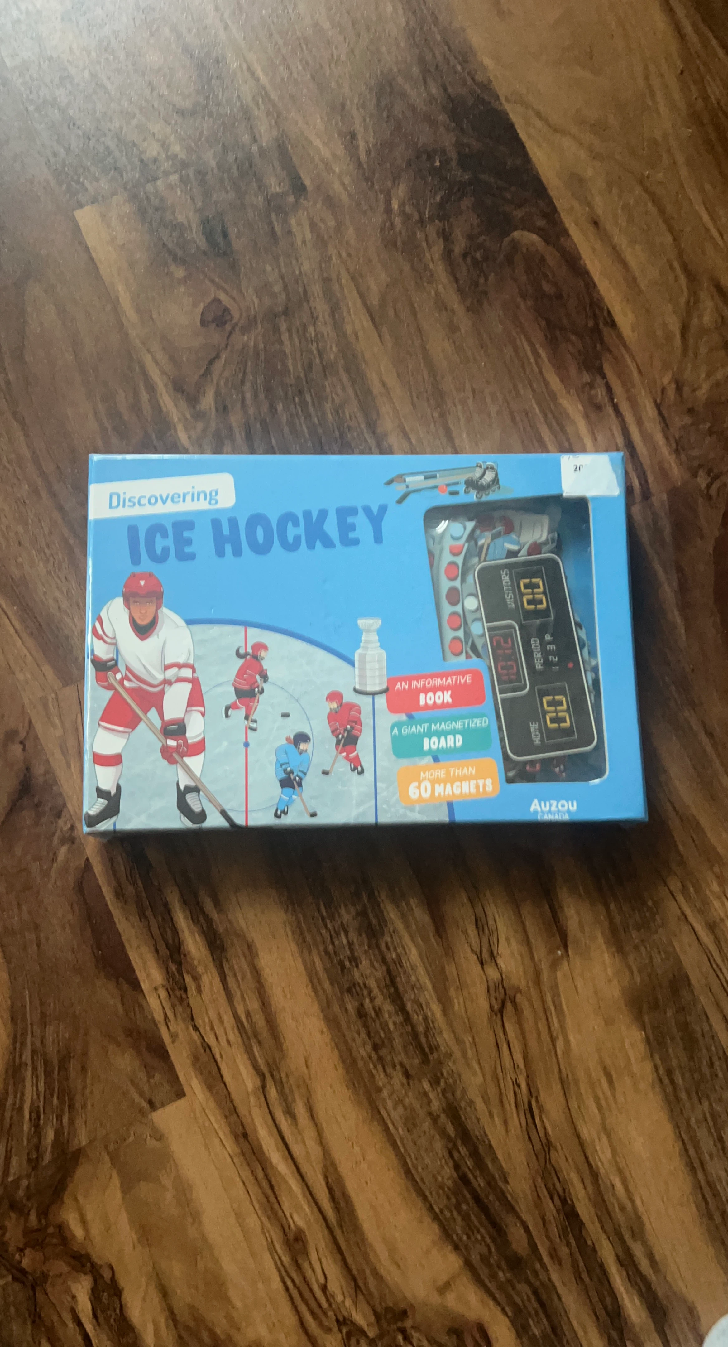 Discovering Ice Hockey Magnetic Board and Book