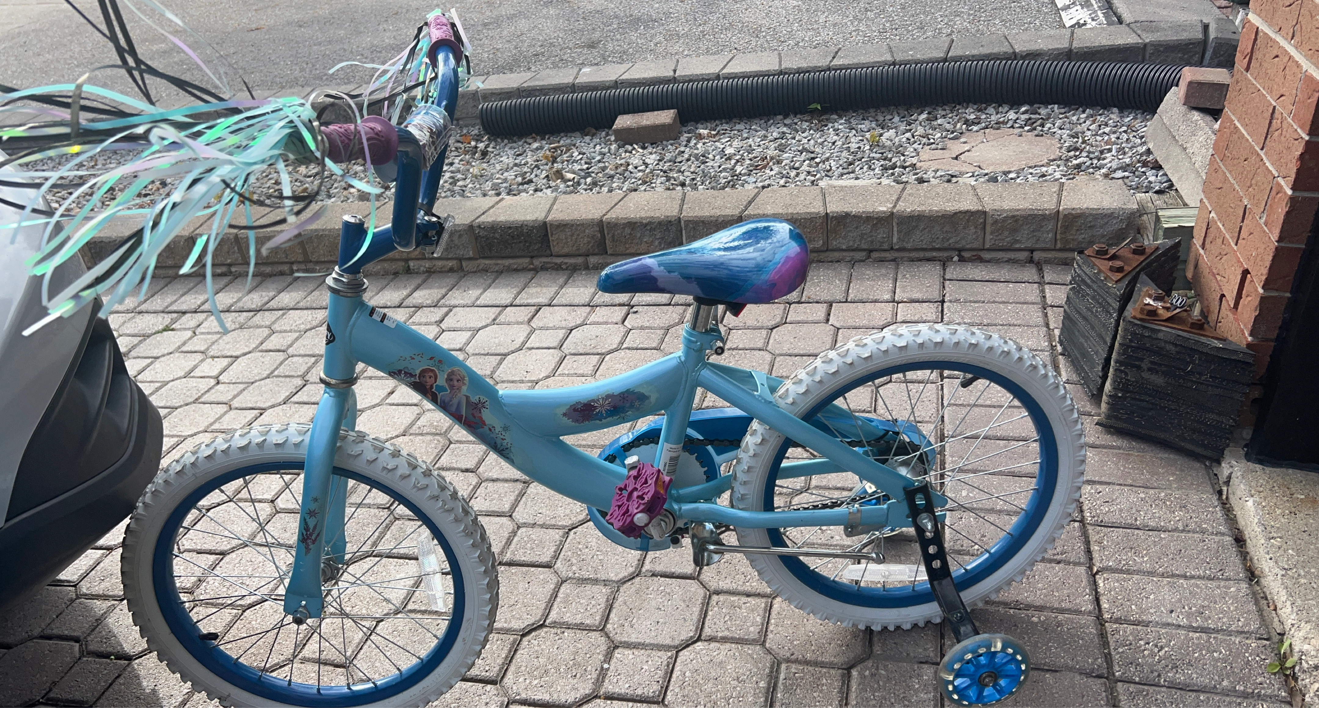 Kids Frozen Bike
