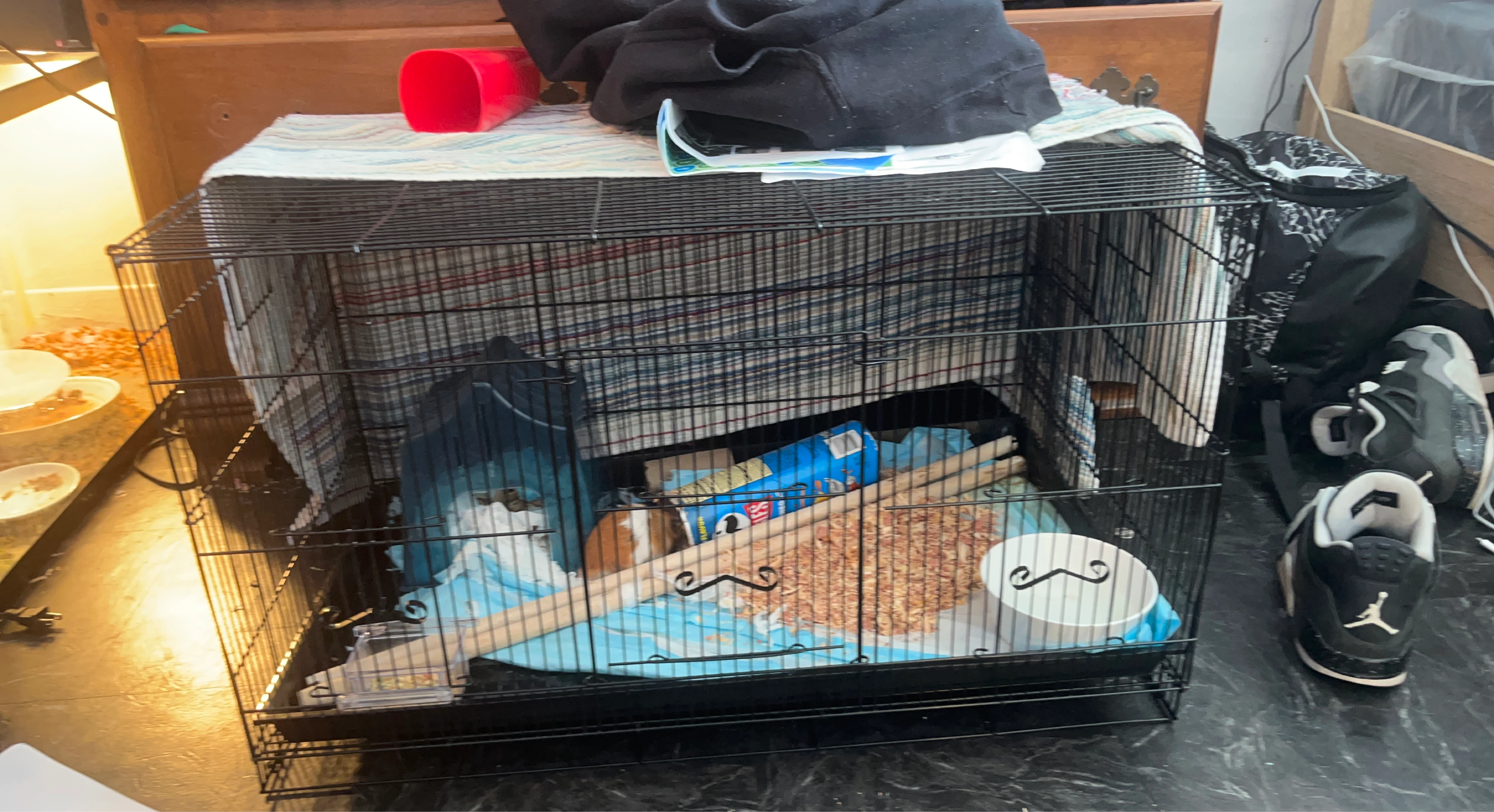 Wire Pet Cage with Accessories