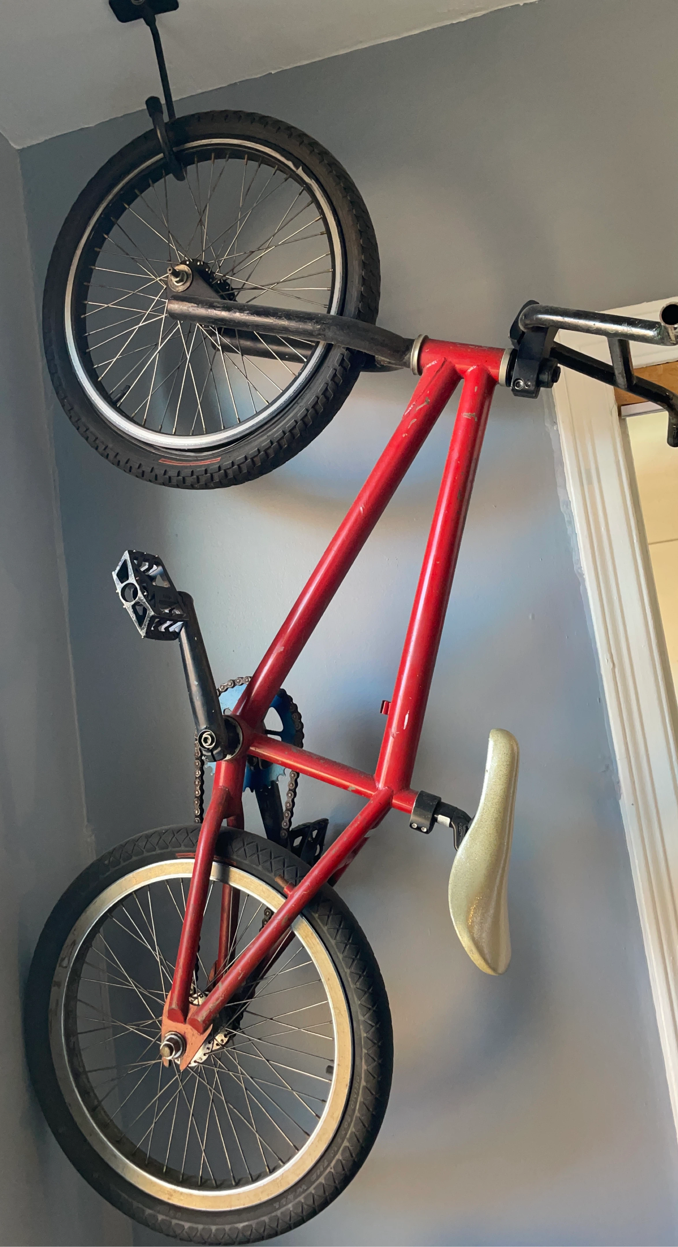 FIT Series 1 BMX