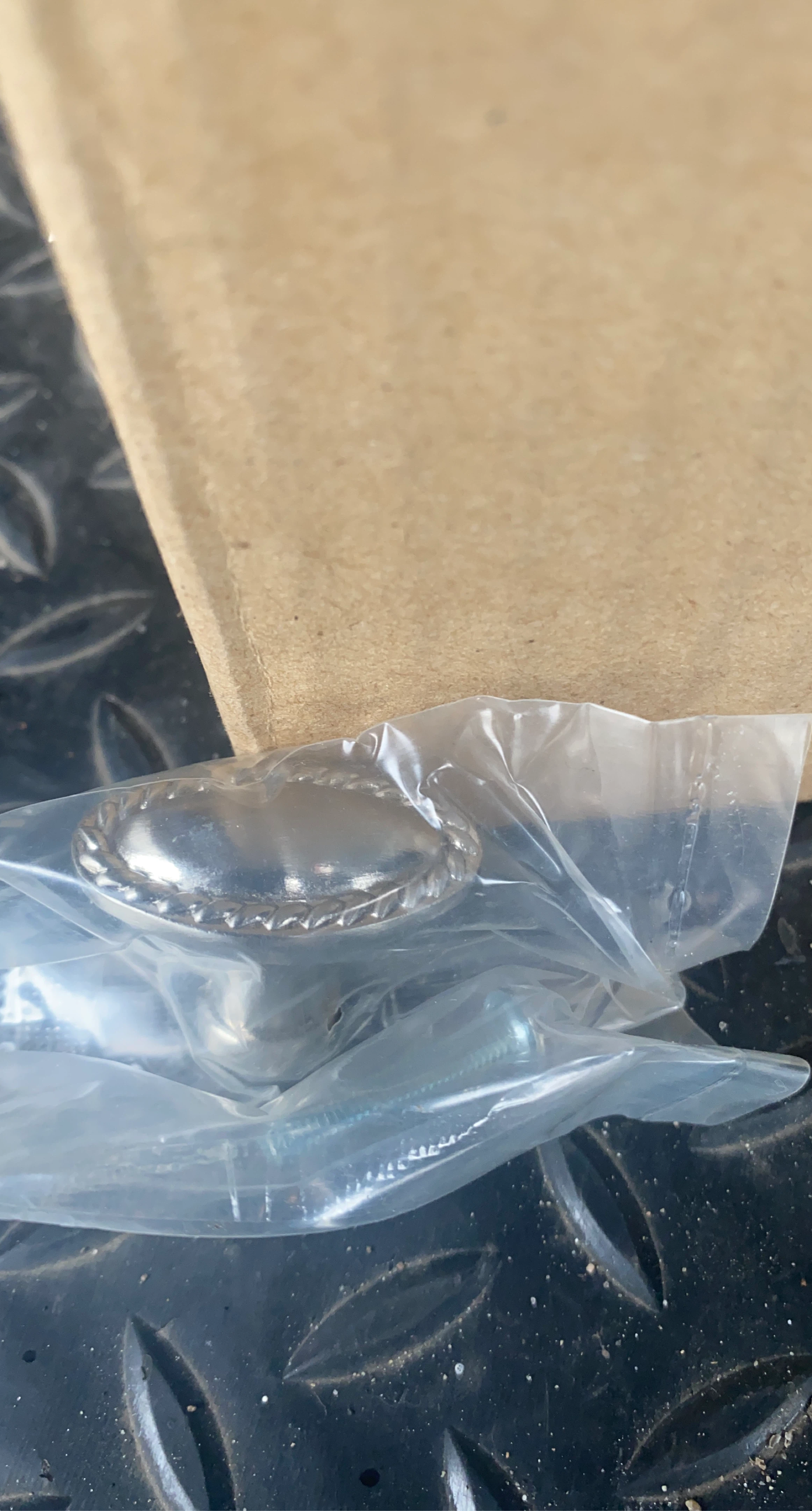 Silver Oval Drawer Pulls with Screws (Set of 2)