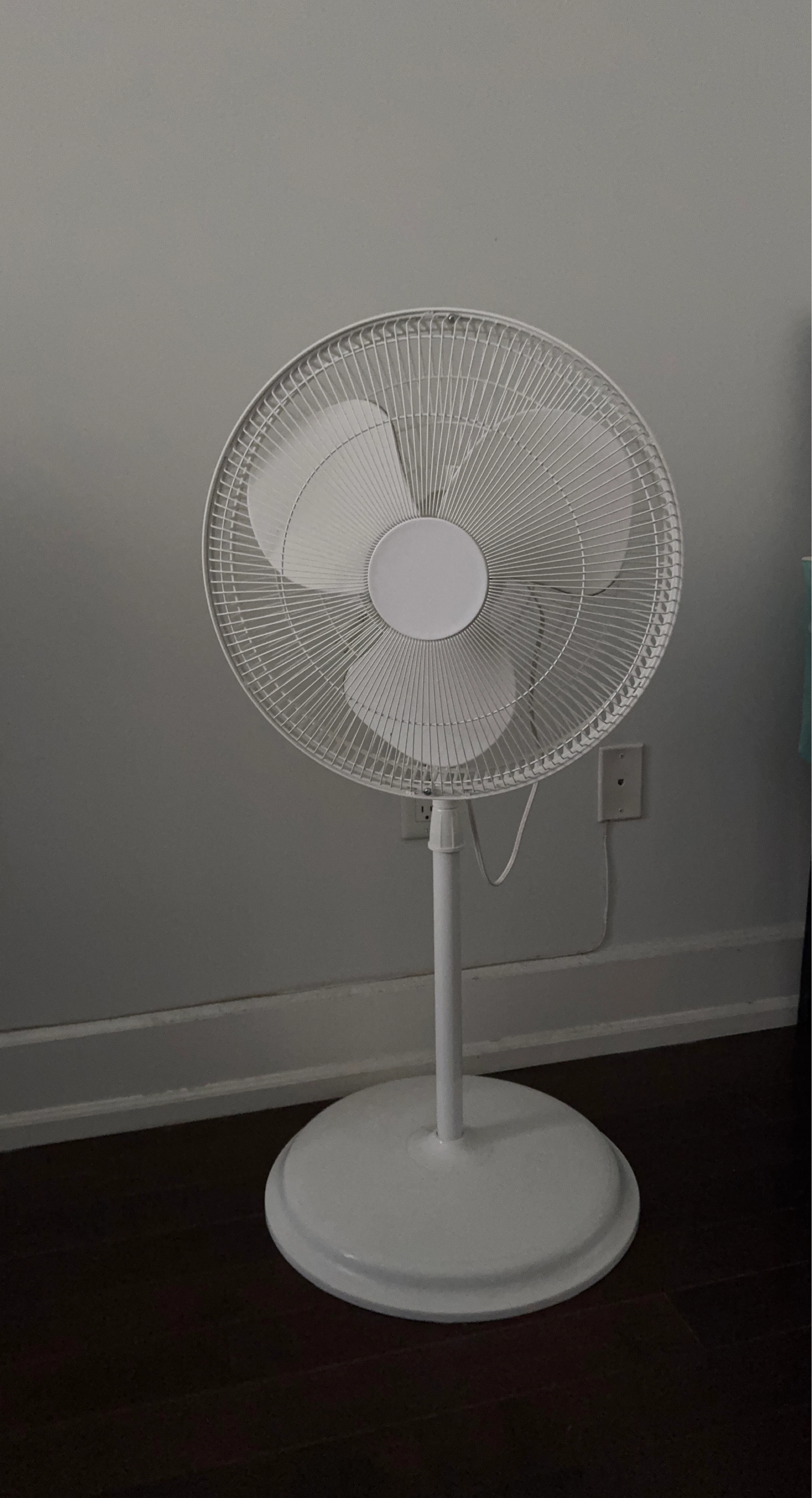White oscillating pedestal fan