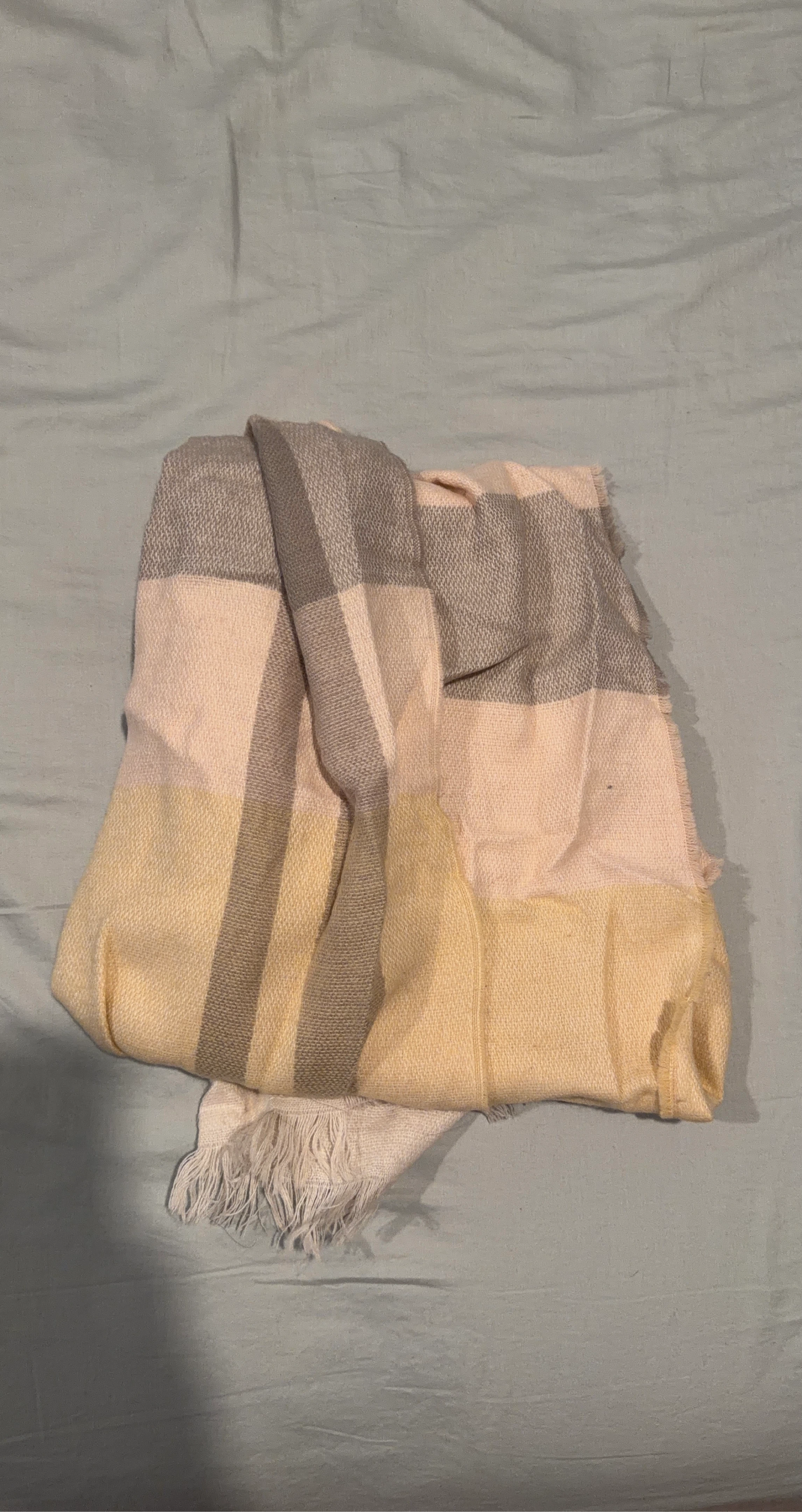 H&M Plush Throw Blanket