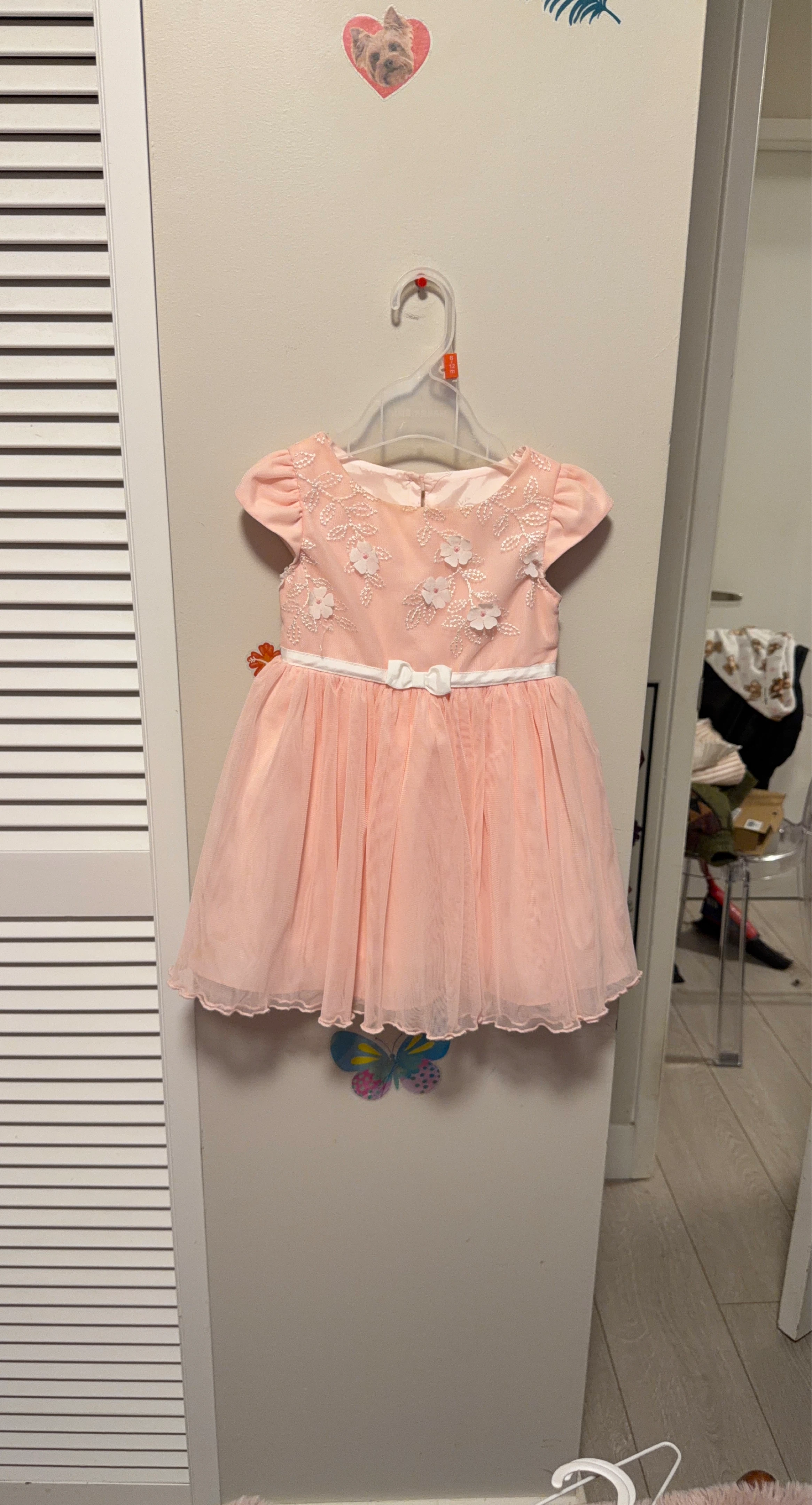 Girls Pink Tulle Dress with Floral Embroidery Size 2