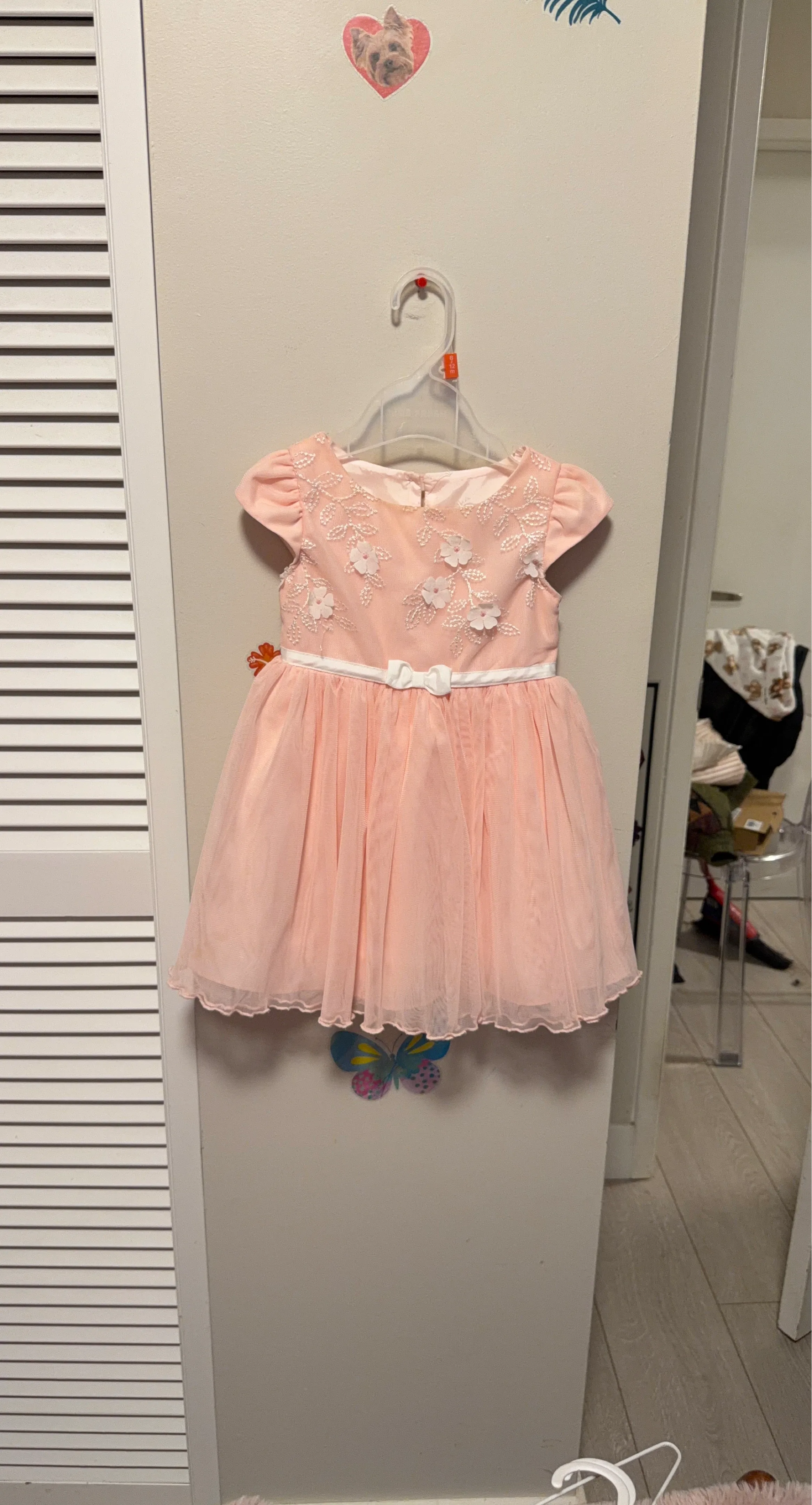 Girls Pink Tulle Dress with Floral Embroidery Size 2