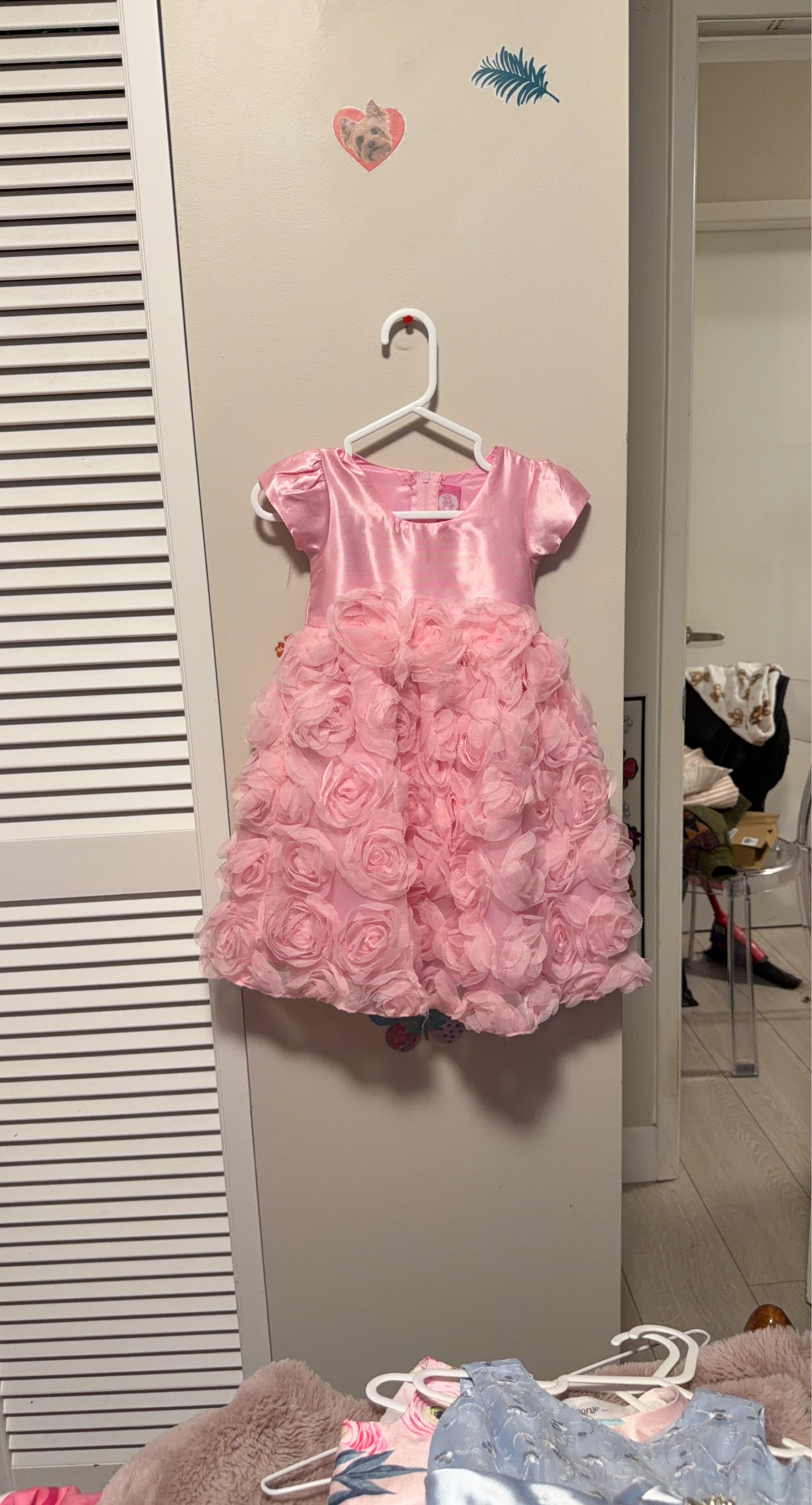 Pink Toddler Dress with Rose Appliques Size 2-3 years