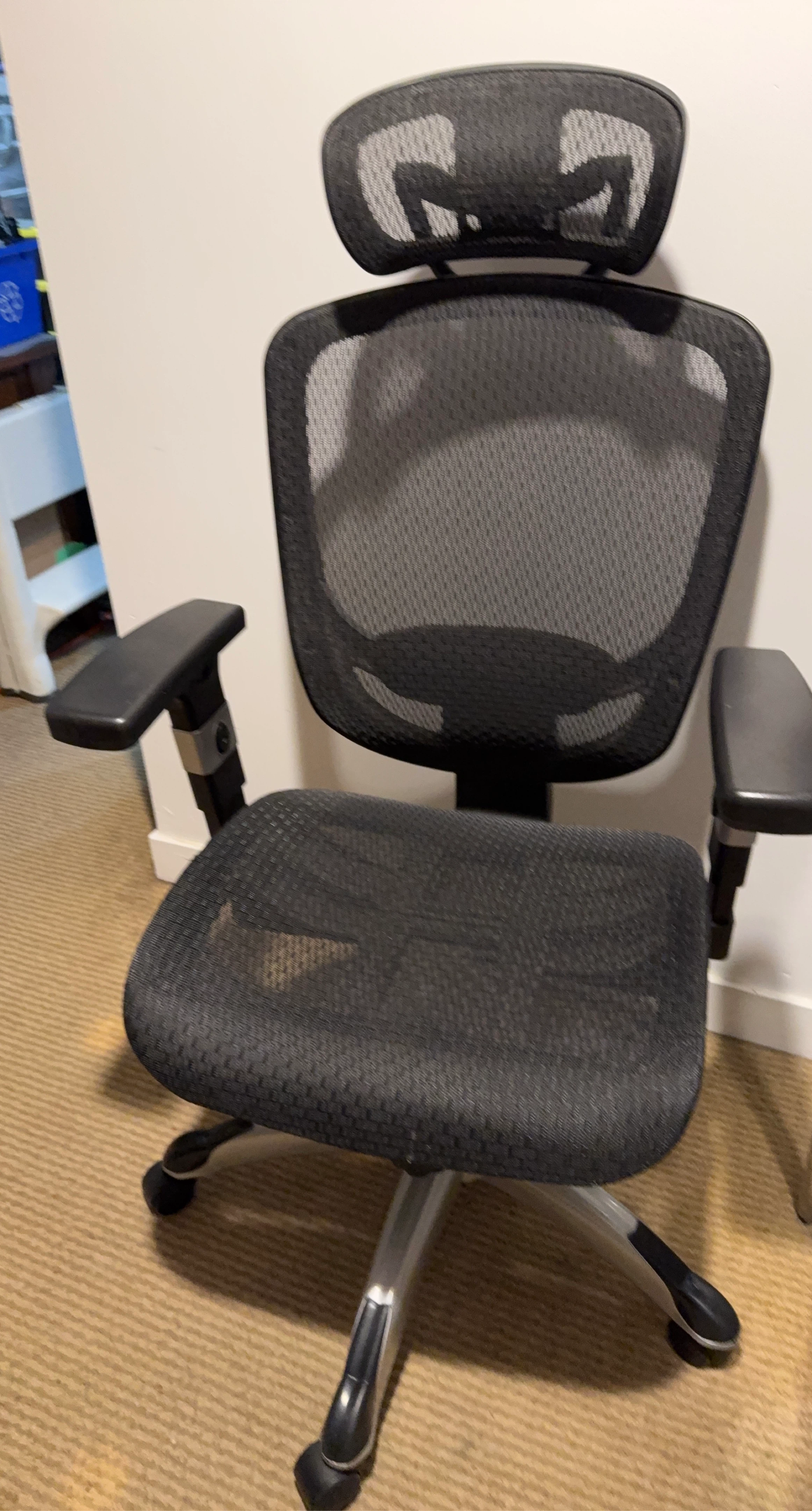 Black Mesh Ergonomic Office Chair with Headrest