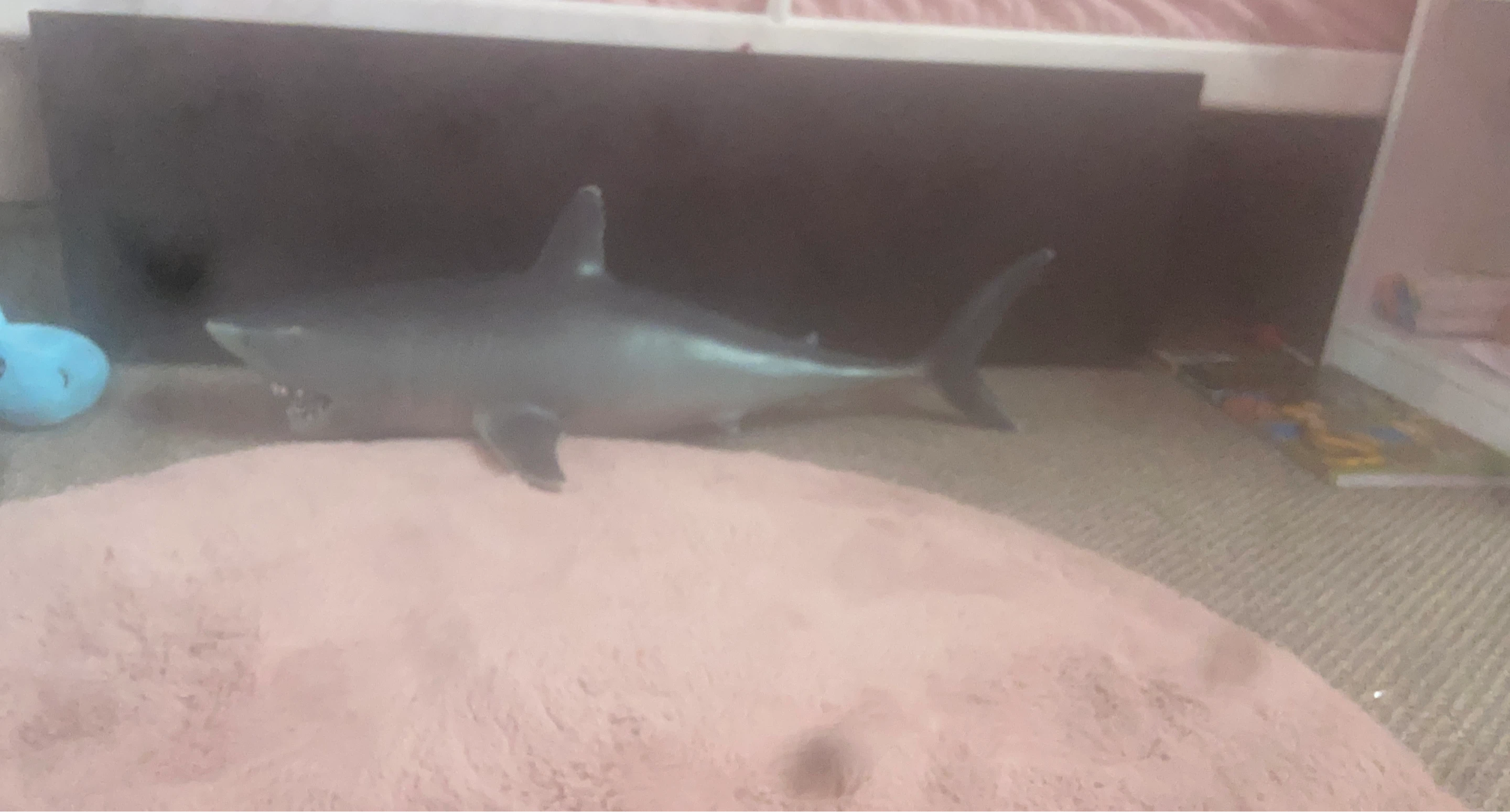 Toy Shark Figure