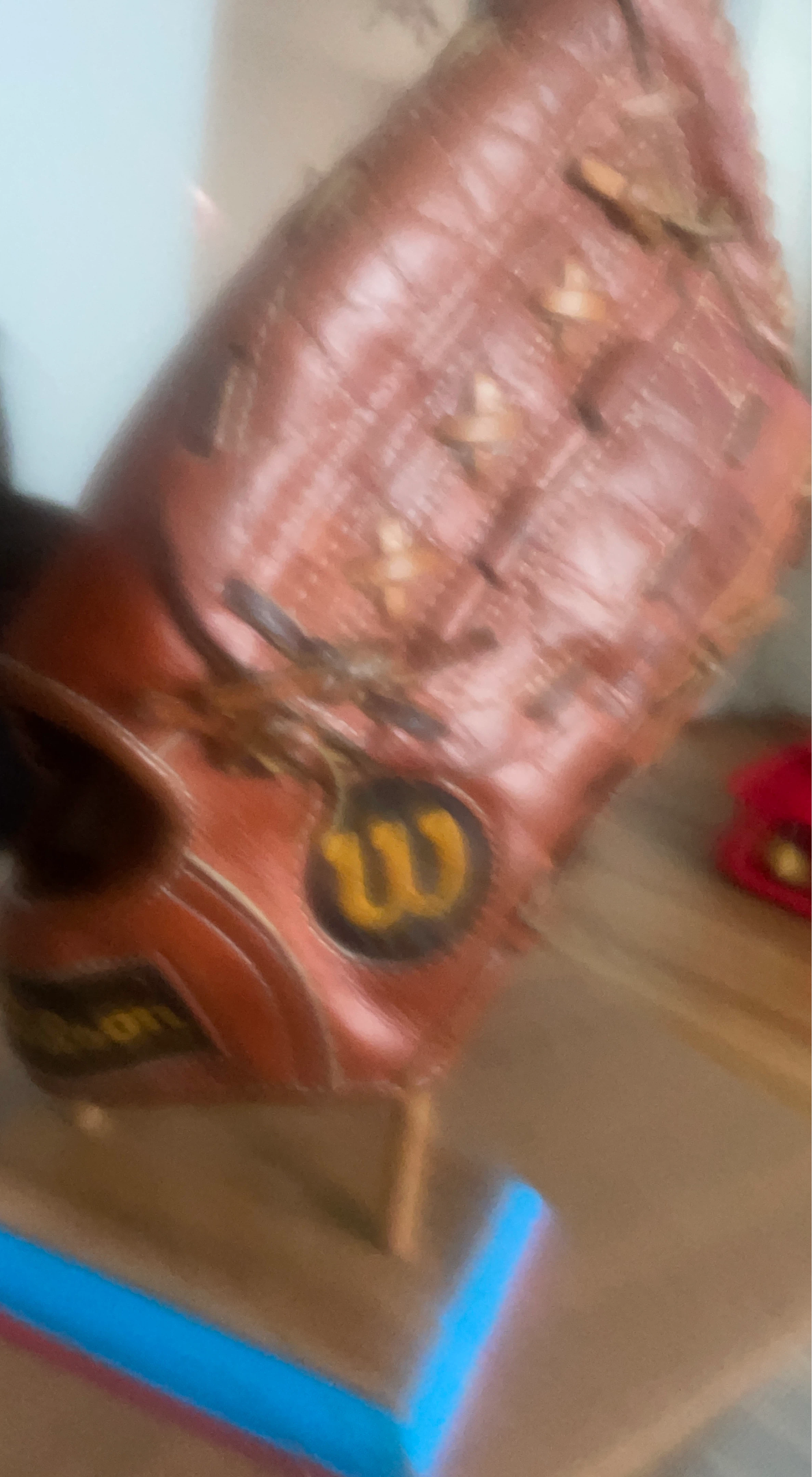 Wilson Baseball Glove