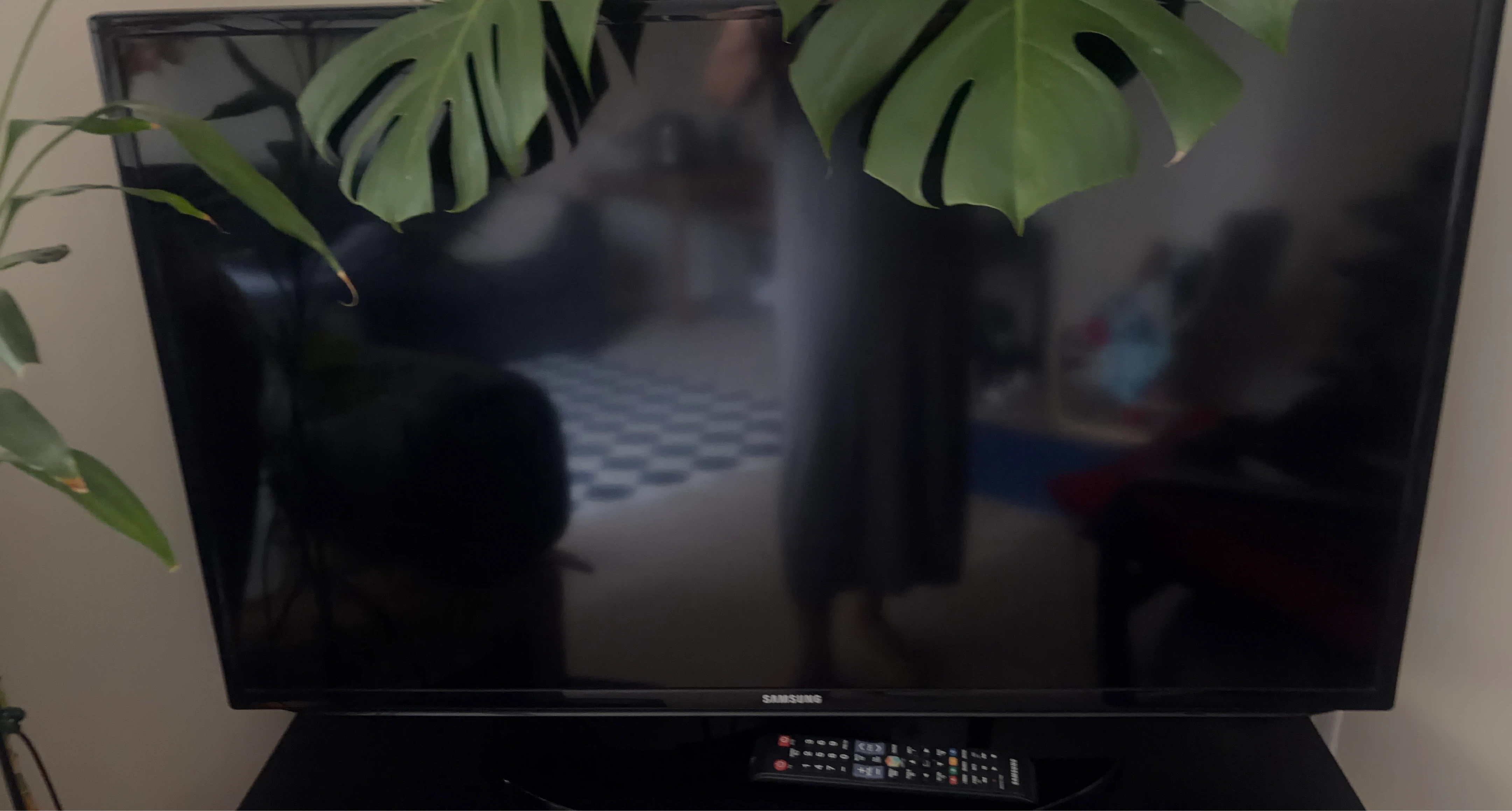 Samsung Television