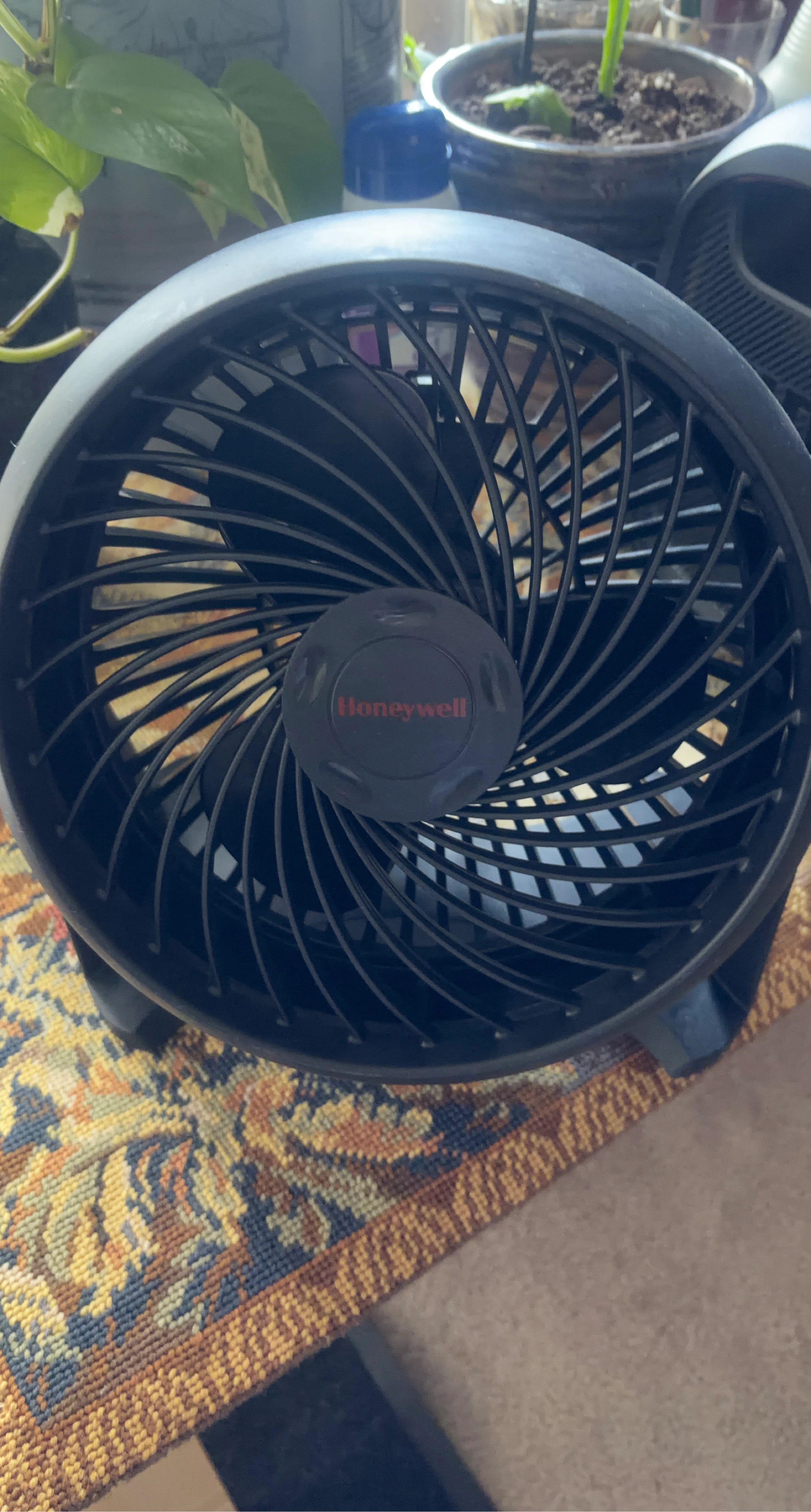 Honeywell Black Table Fan