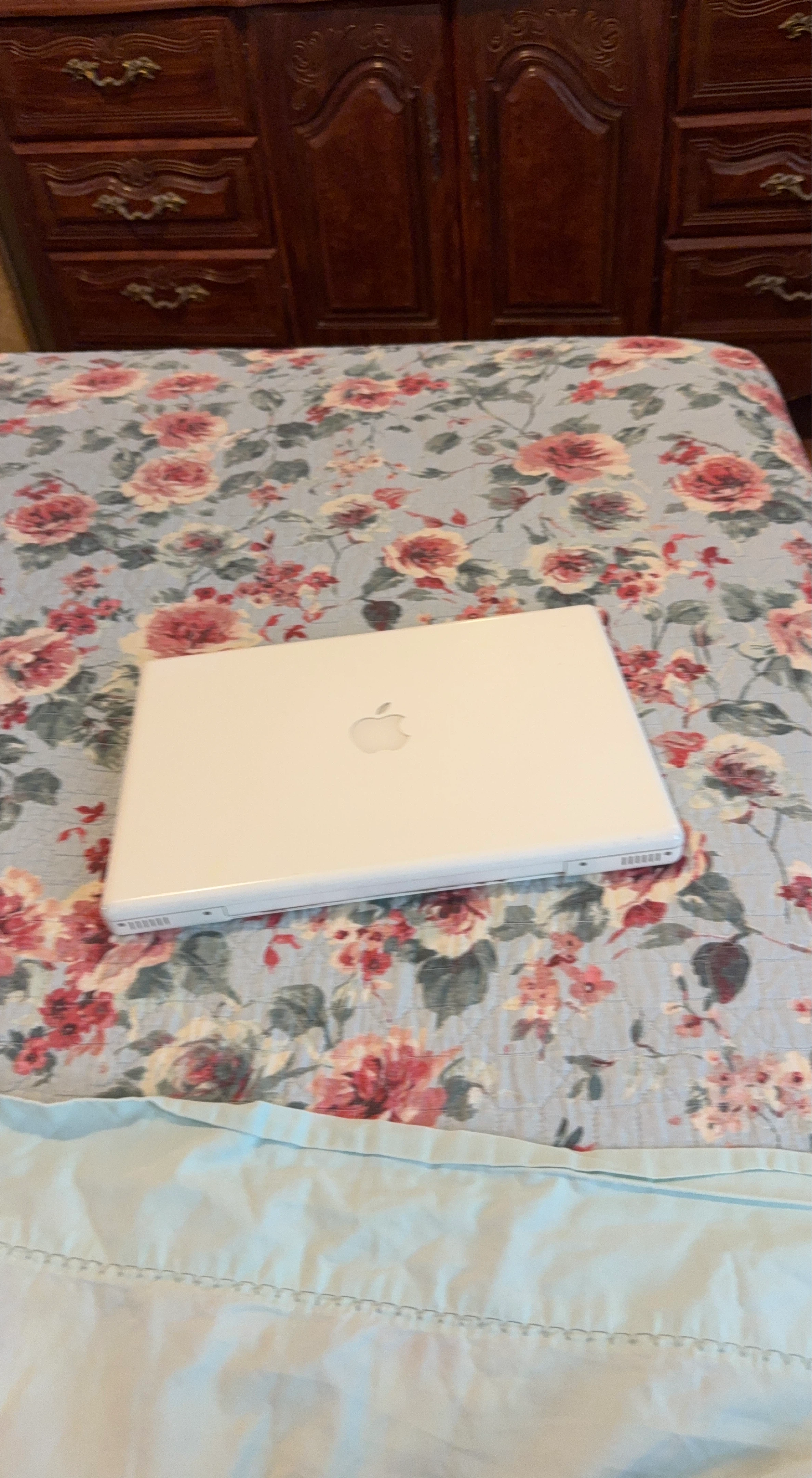 Apple MacBook Laptop