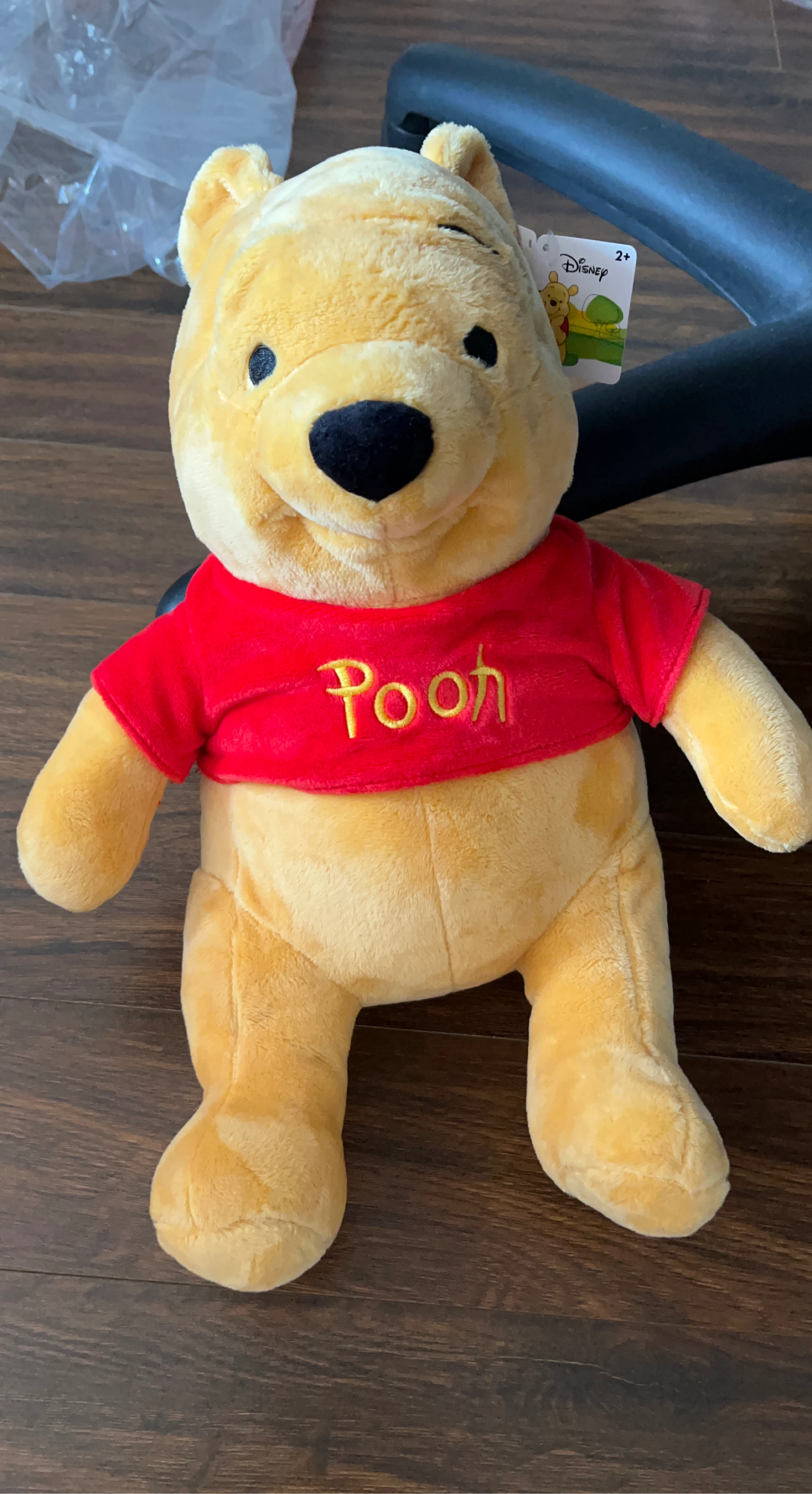 Disney Winnie the Pooh Plush Toy