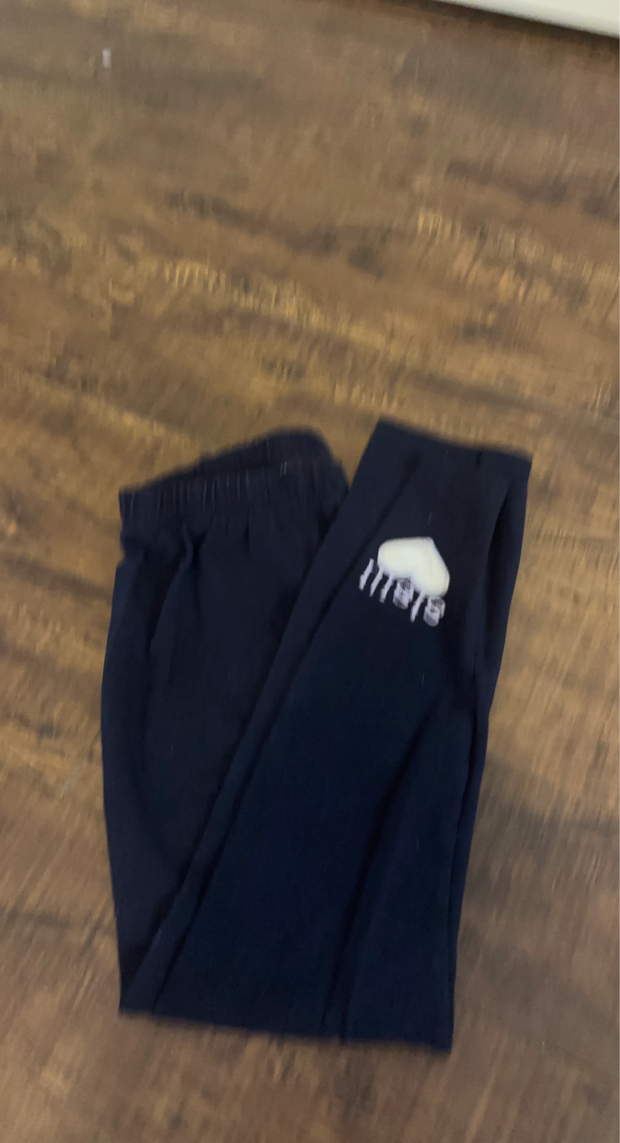 Erreà Navy Blue Track Pants