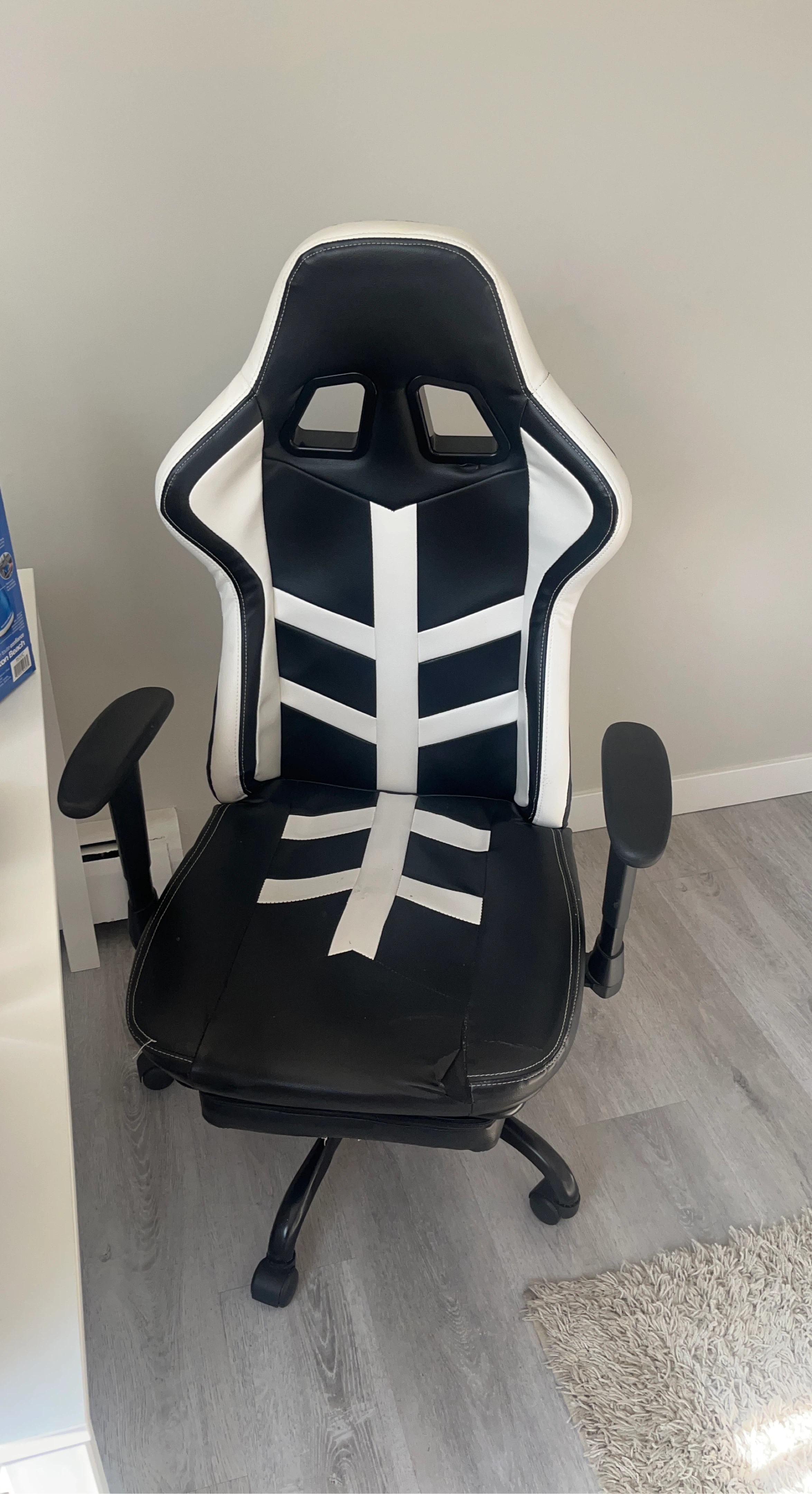 Black and White Gaming Chair