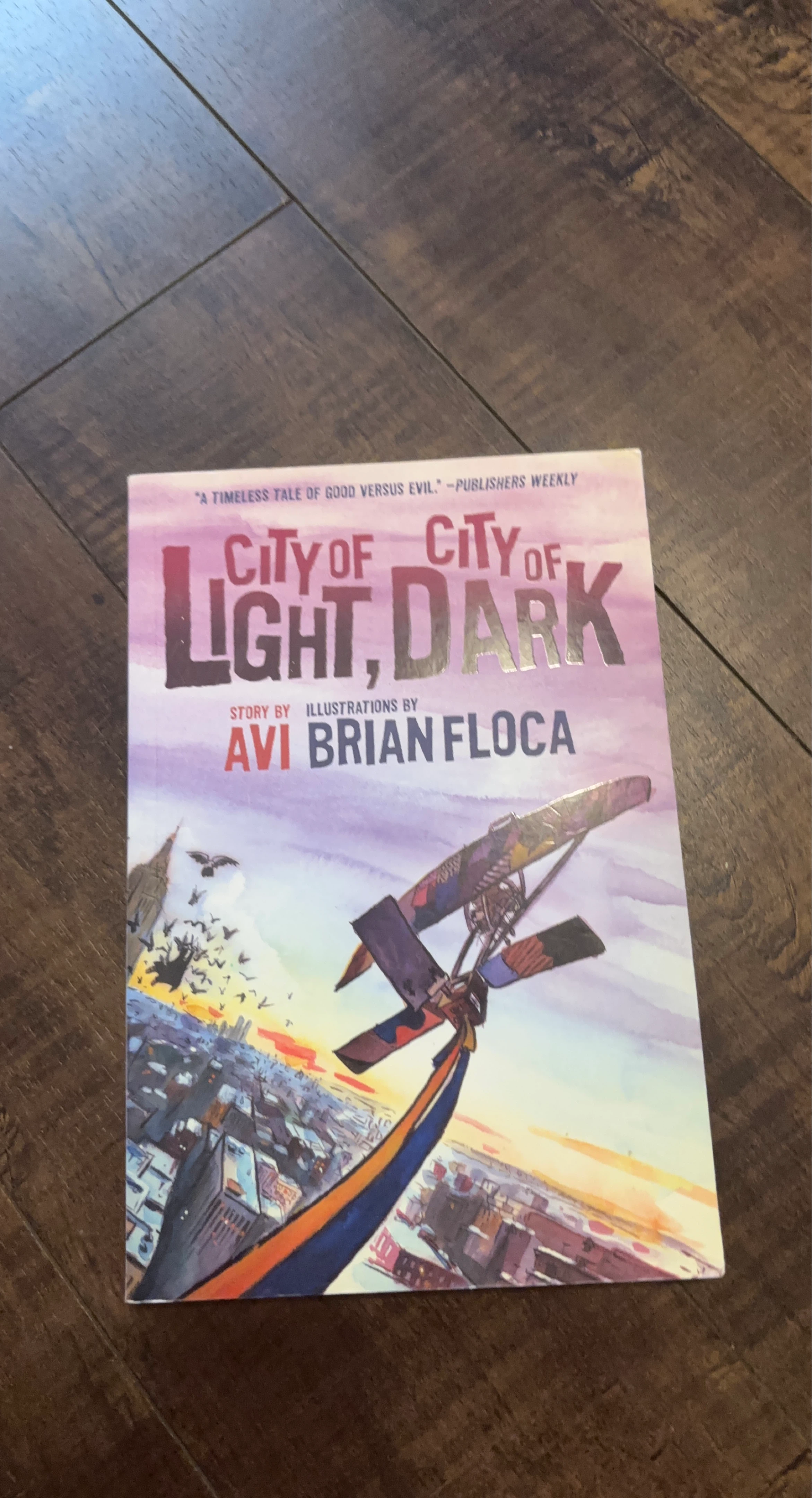 City of Light, City of Dark by Avi and Brian Floca