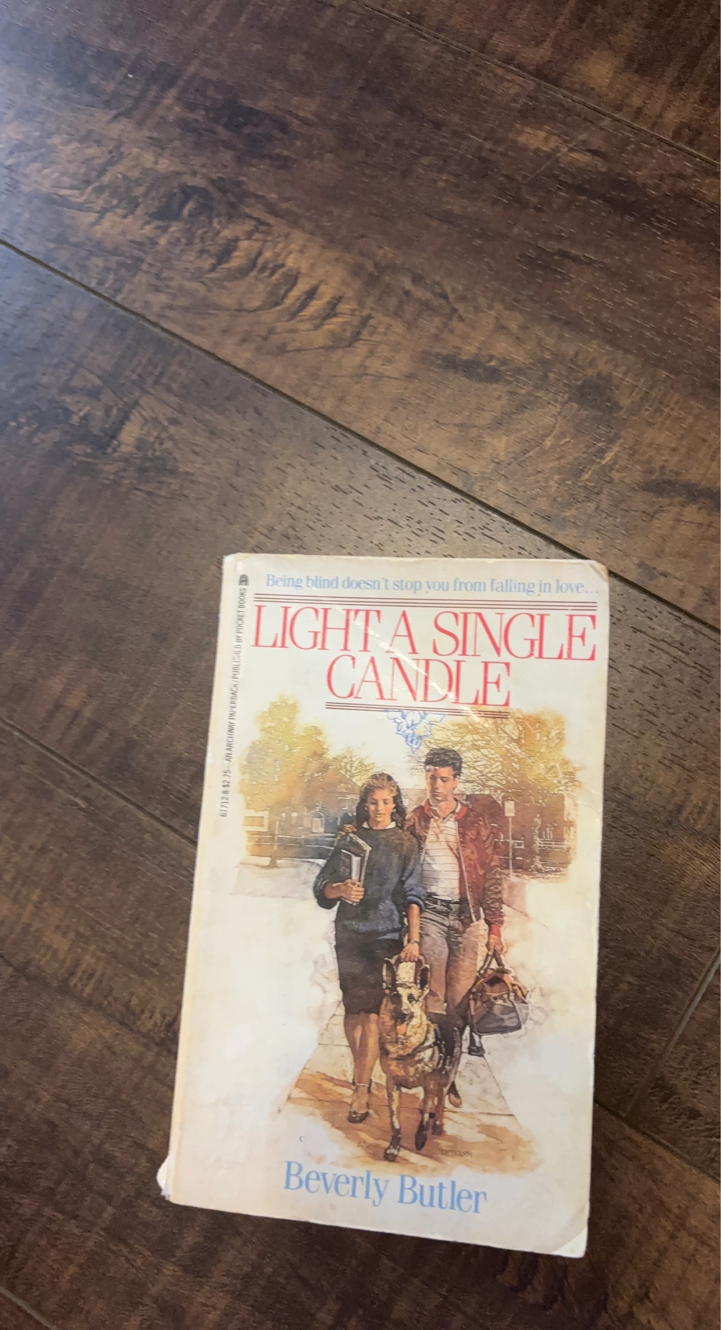 Light a Single Candle by Beverly Butler Paperback