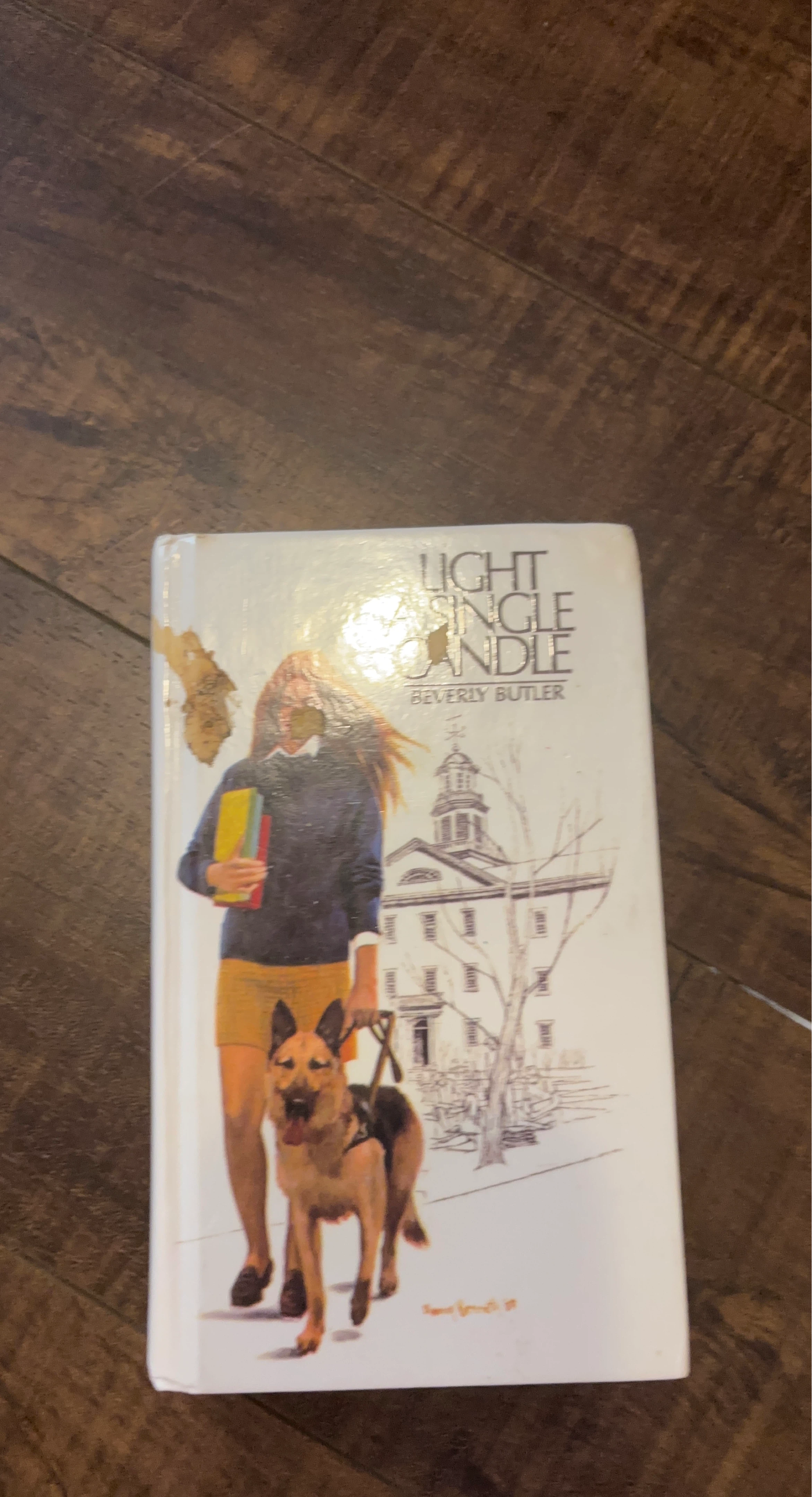 Light a Single Candle Book by Beverly Butler